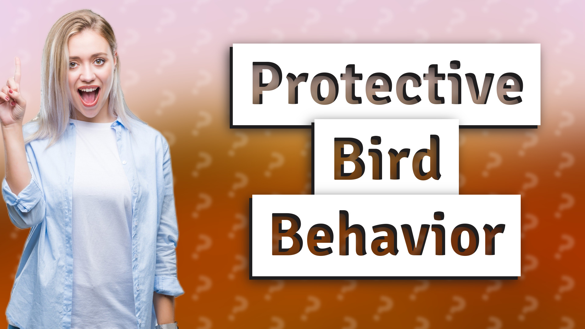 Protective Bird Behavior