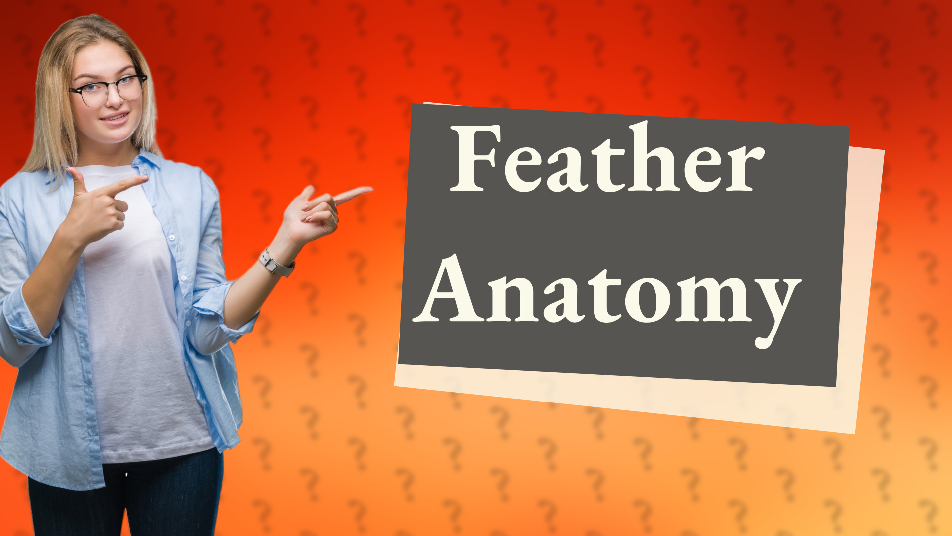 Feather Anatomy