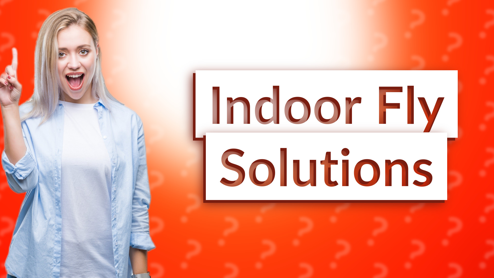 Indoor Fly Solutions