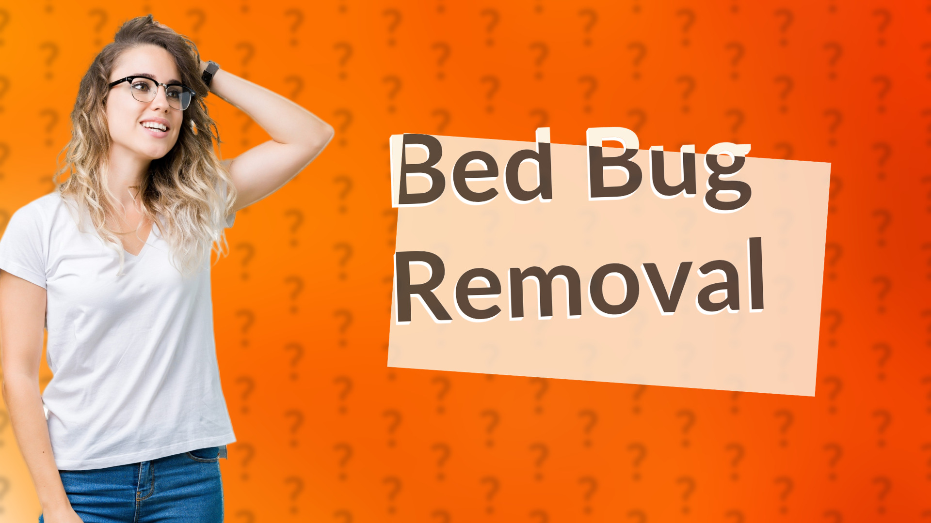 Bed Bug Removal
