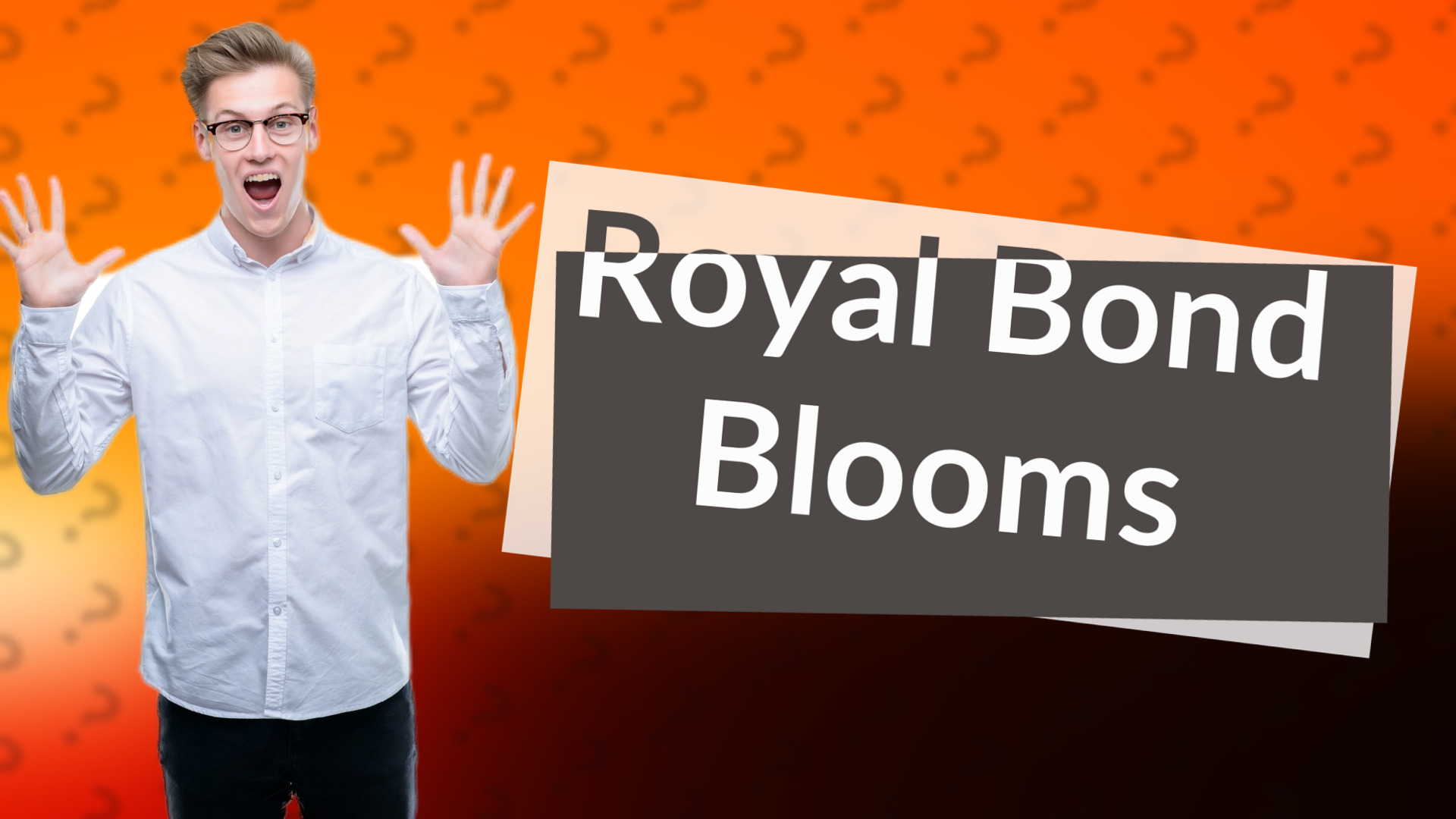 Royal Bond Blooms