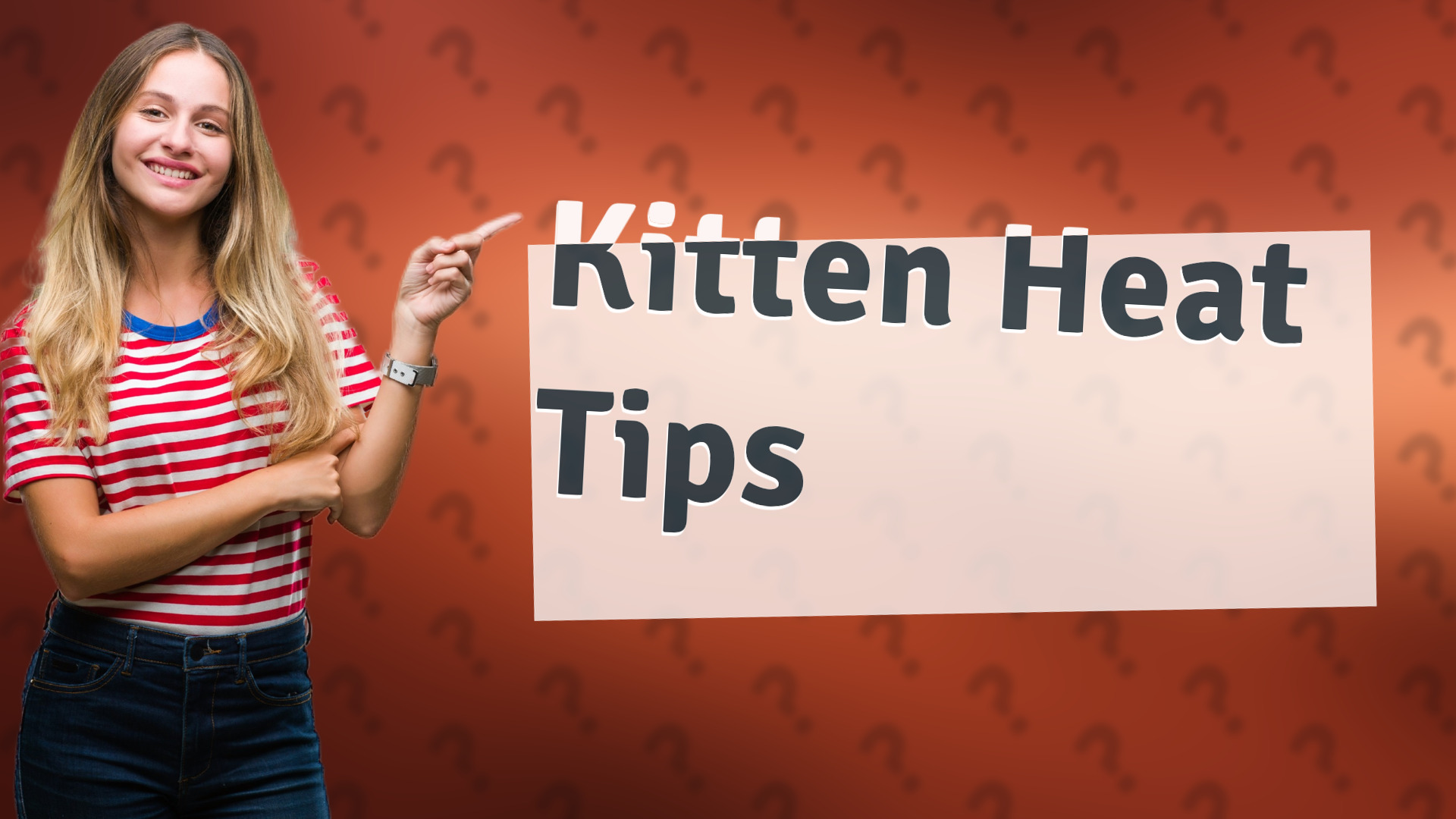 Kitten Heat Tips