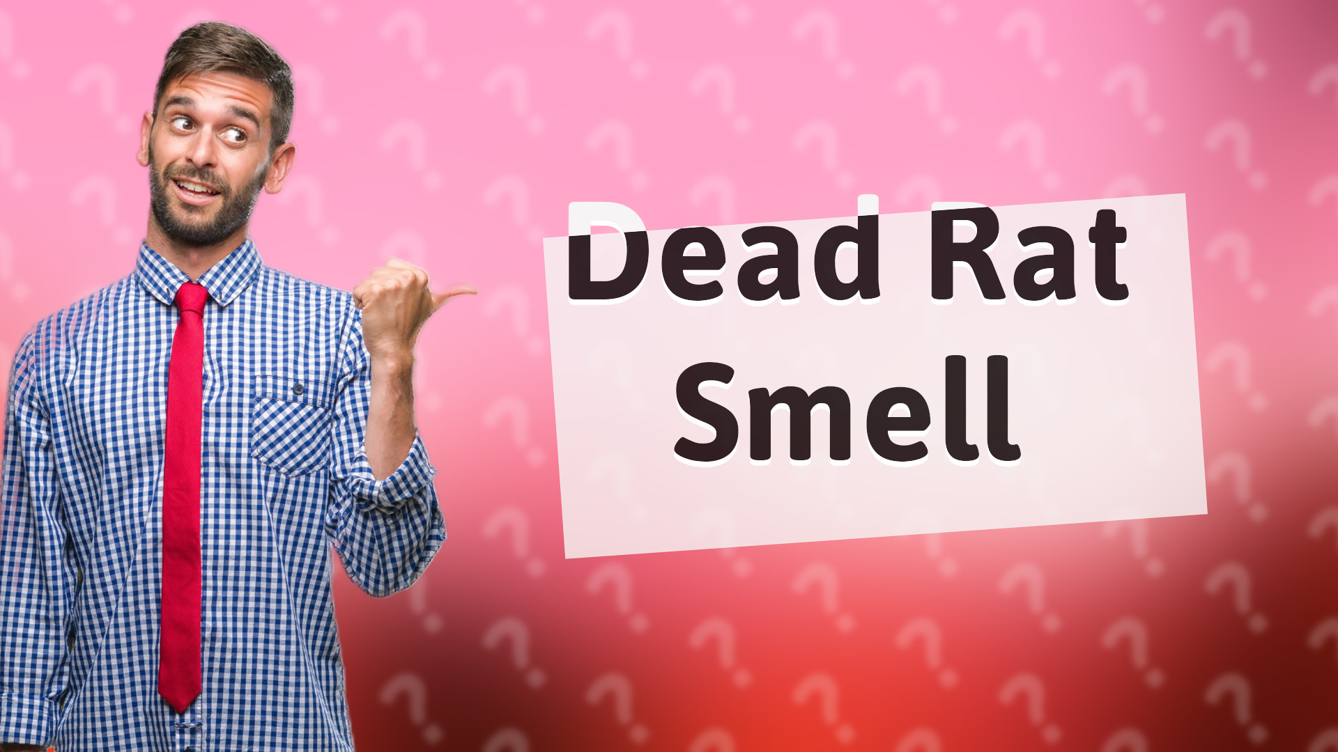 Dead Rat Smell