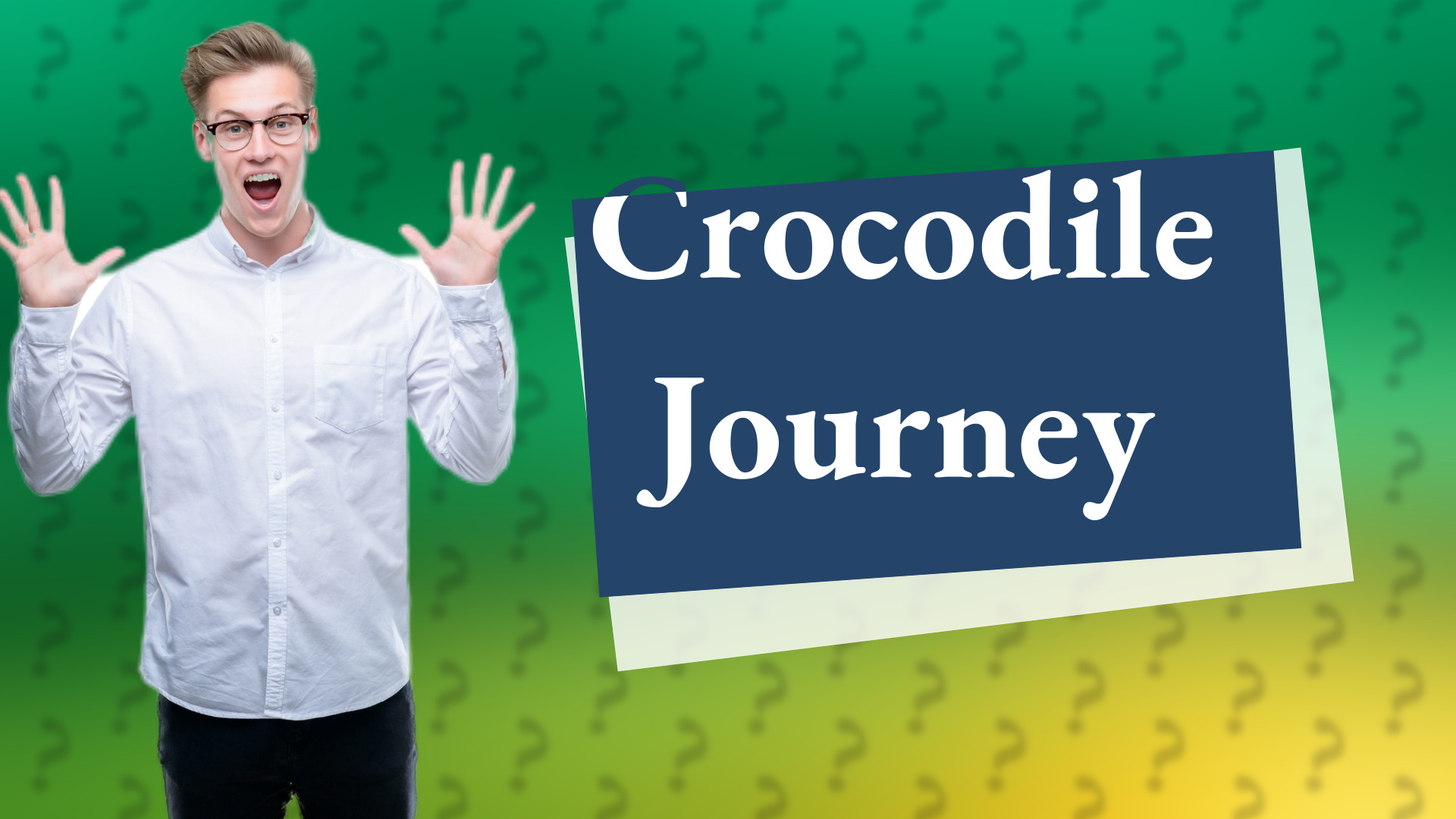 Crocodile Journey
