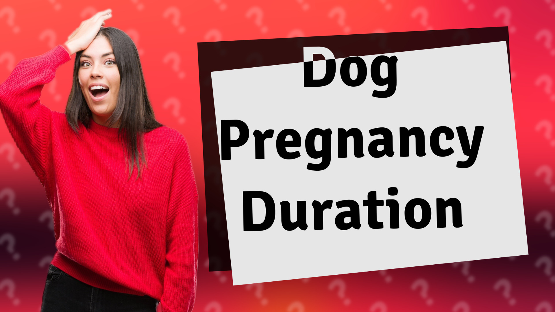 Dog Pregnancy Duration