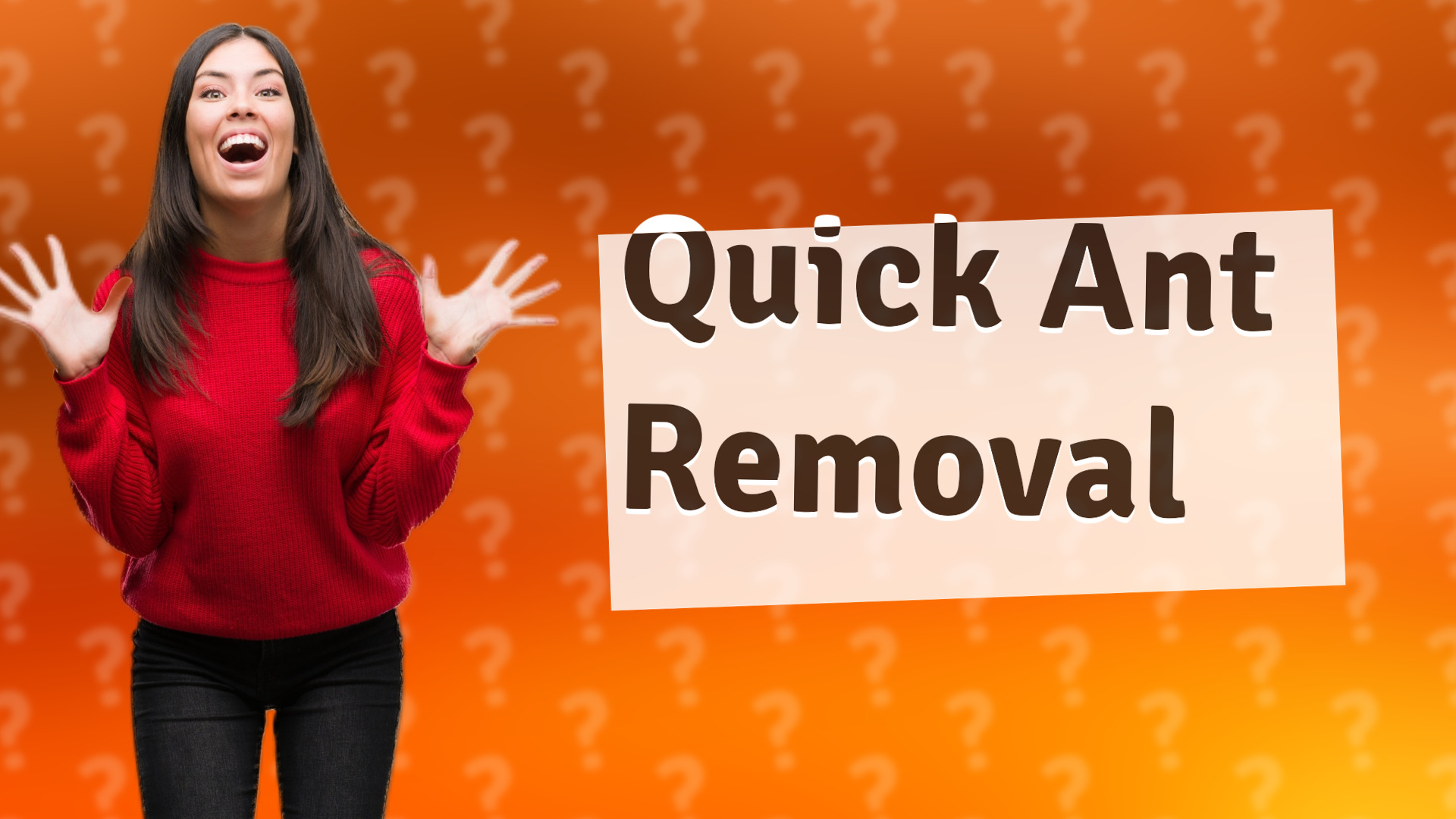 Quick Ant Removal