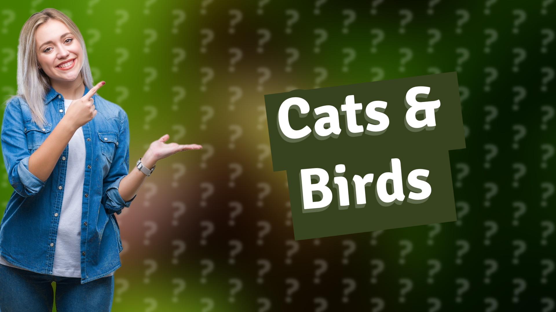 Cats & Birds