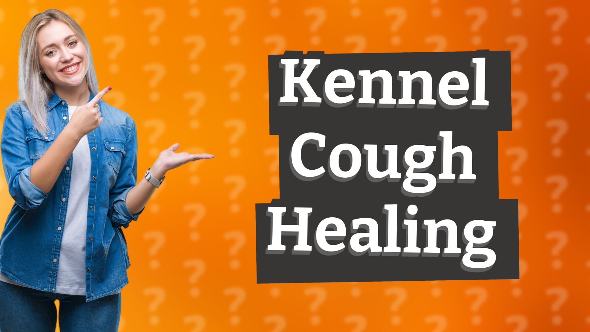 Kennel Cough Healing