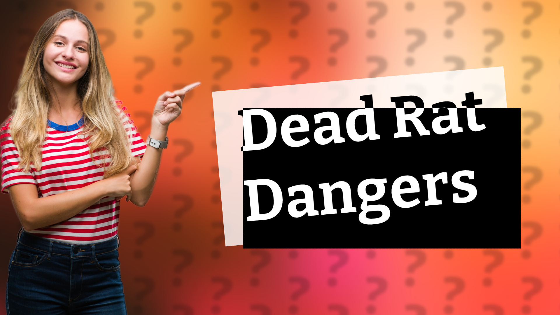 Dead Rat Dangers