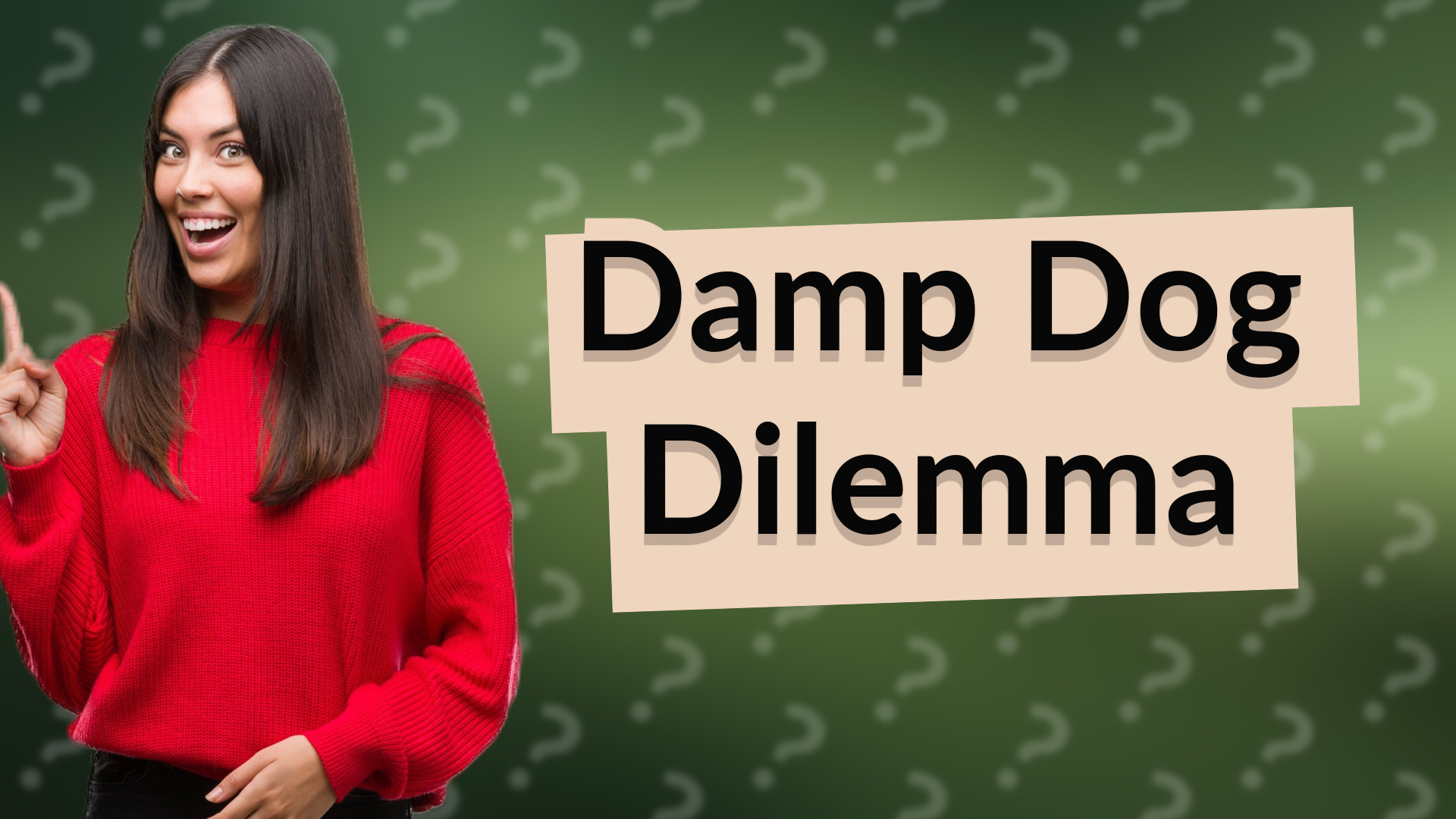 Damp Dog Dilemma