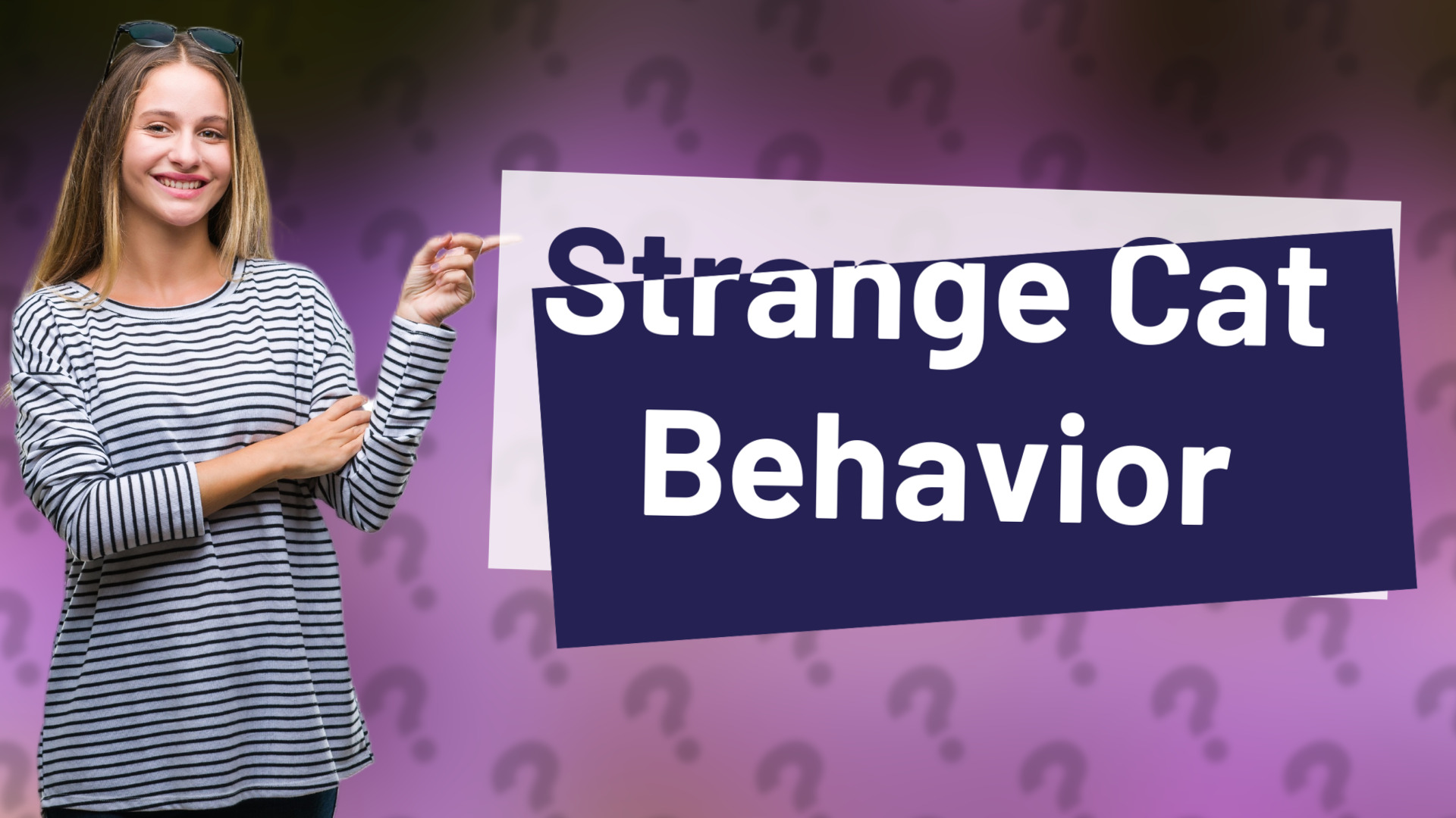 Strange Cat Behavior