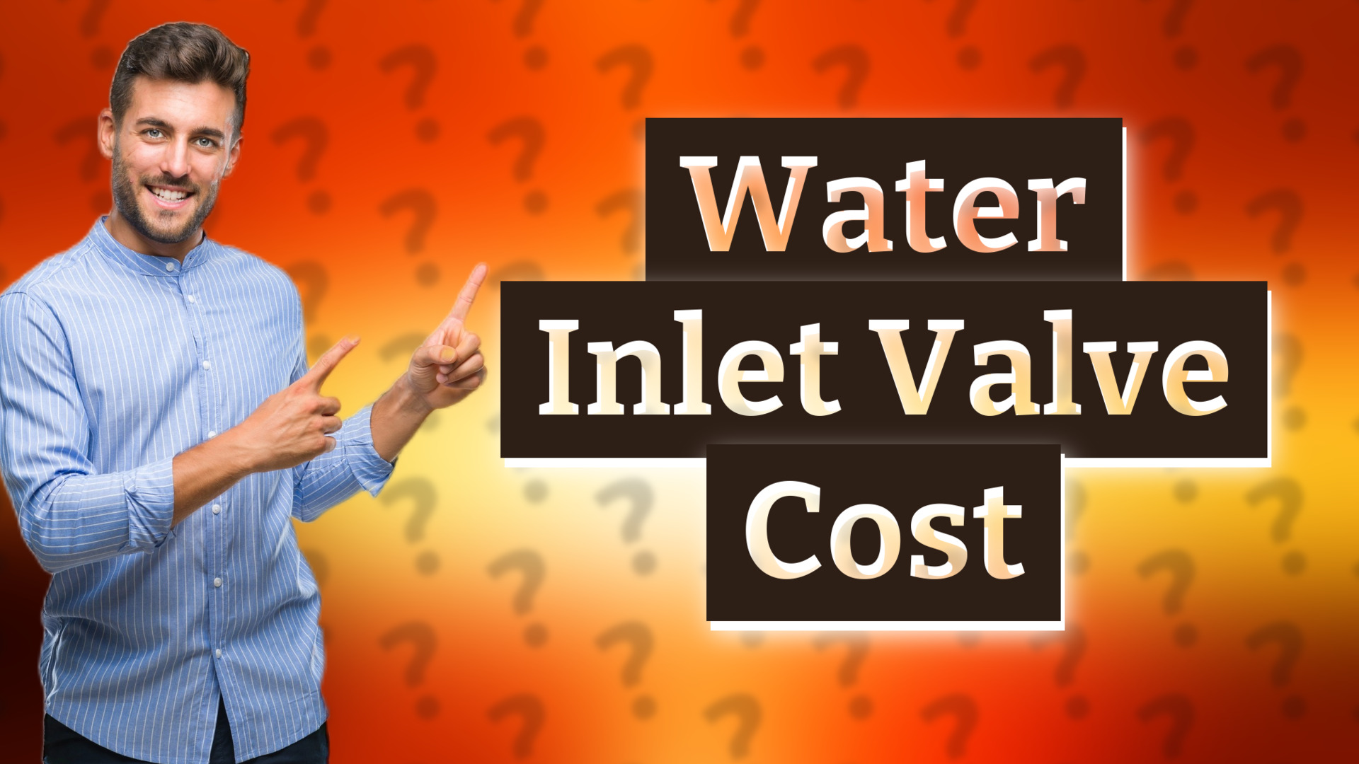 Water Inlet Valve Cost