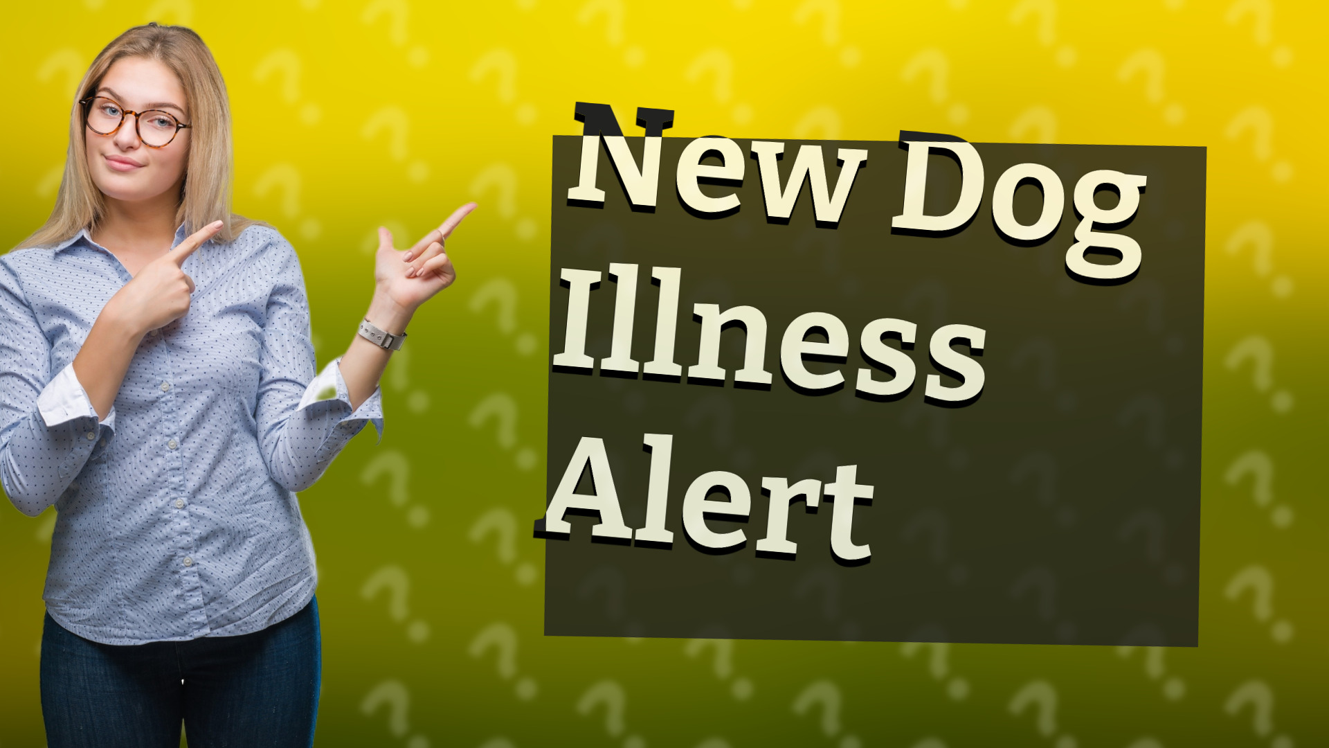 New Dog Illness Alert