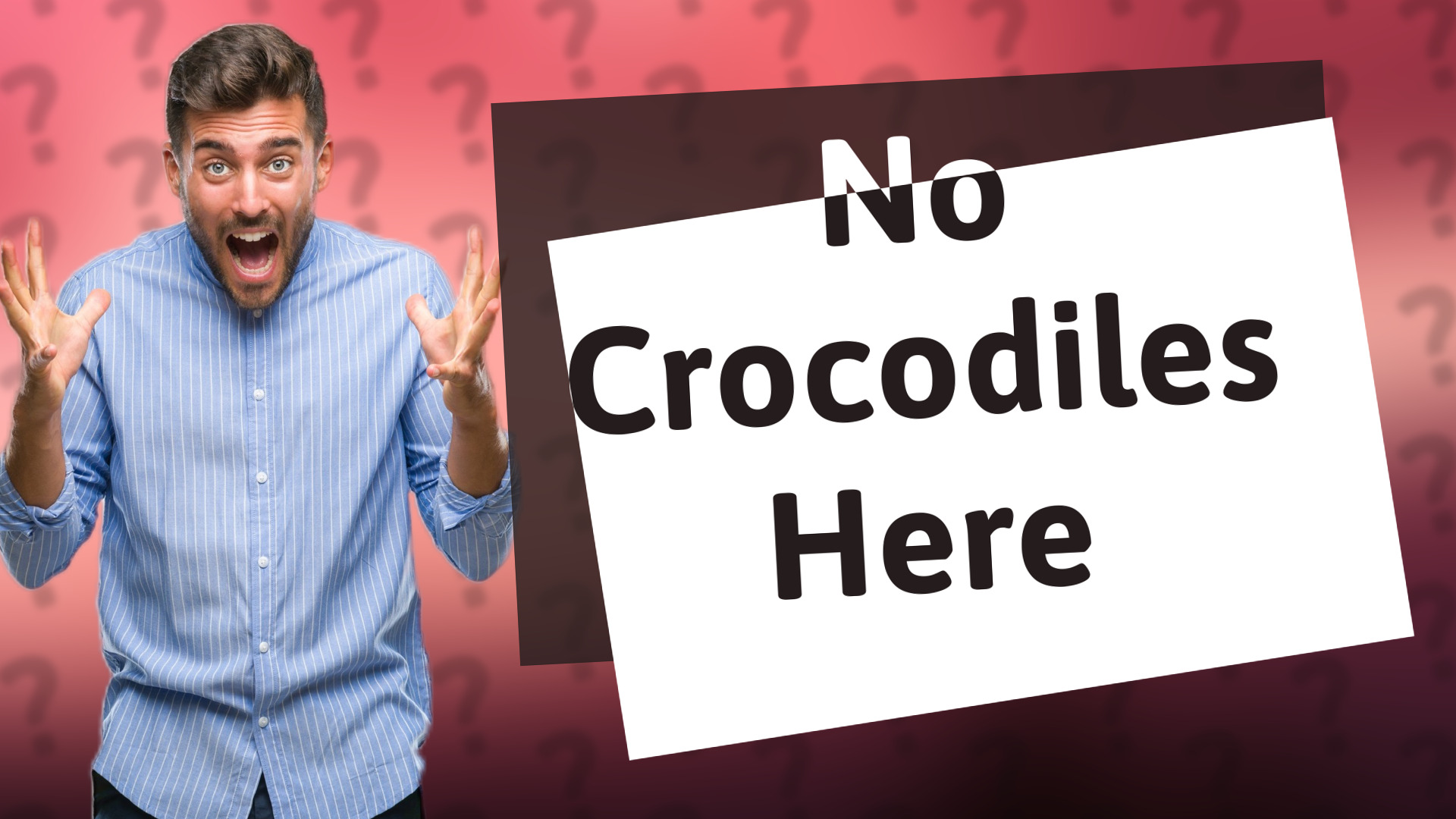 No Crocodiles Here