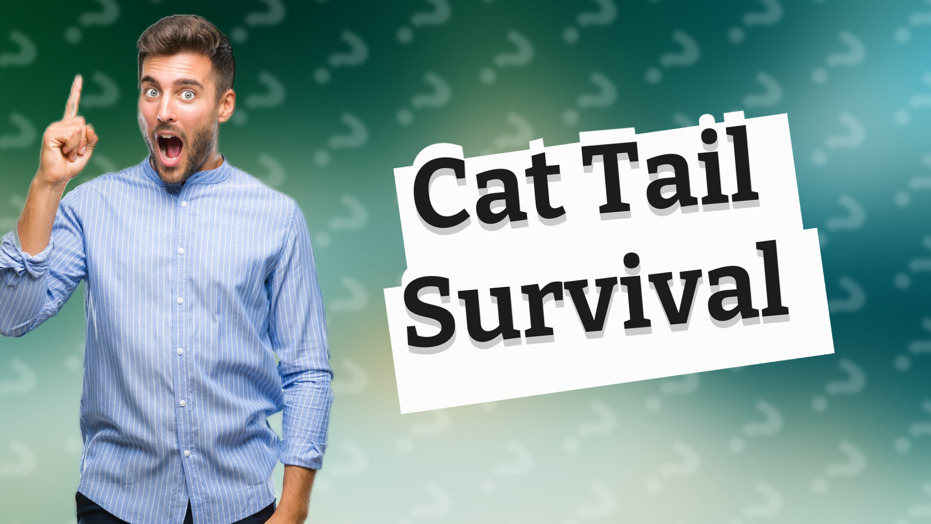 Cat Tail Survival