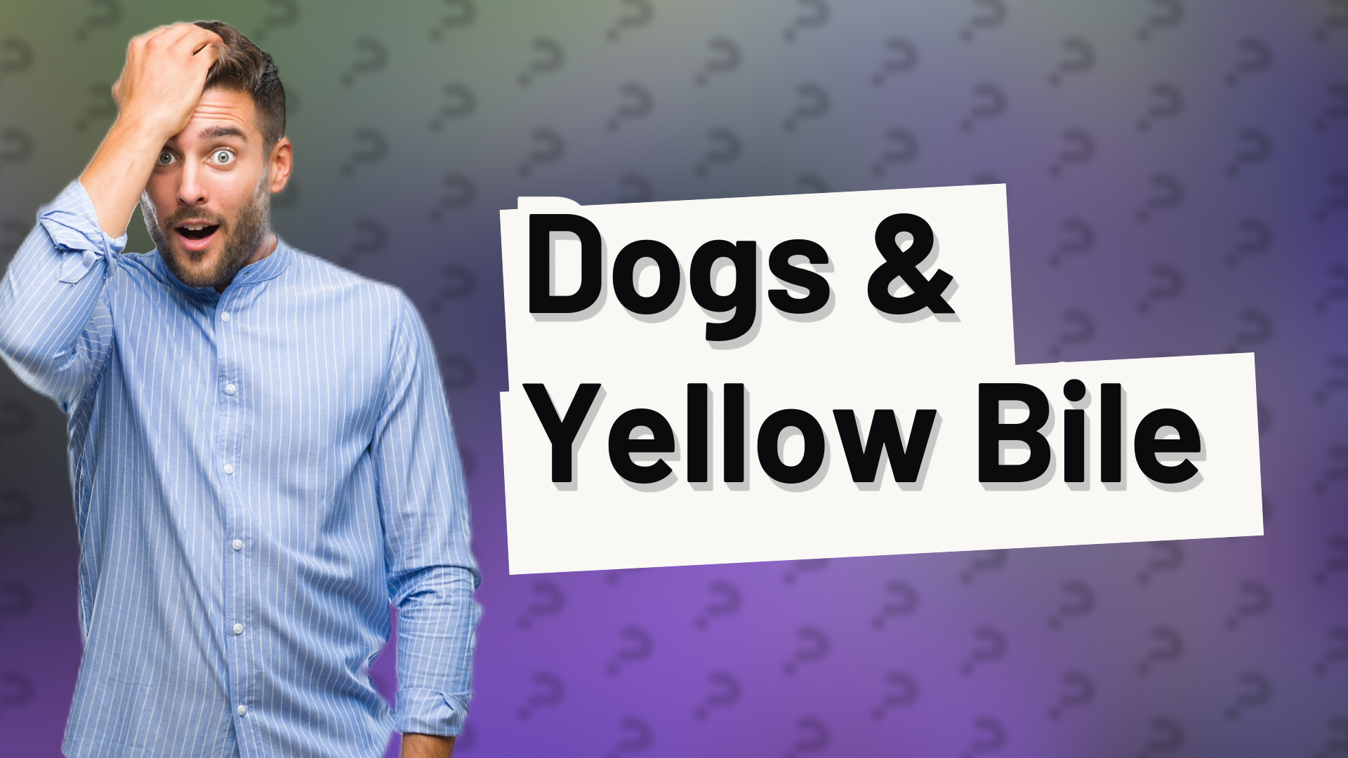 Dogs & Yellow Bile