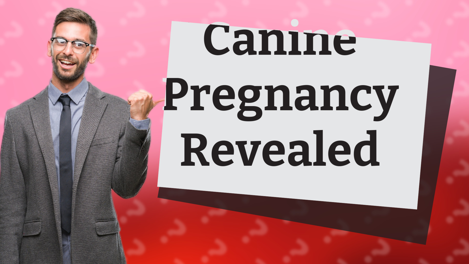 Canine Pregnancy Revealed