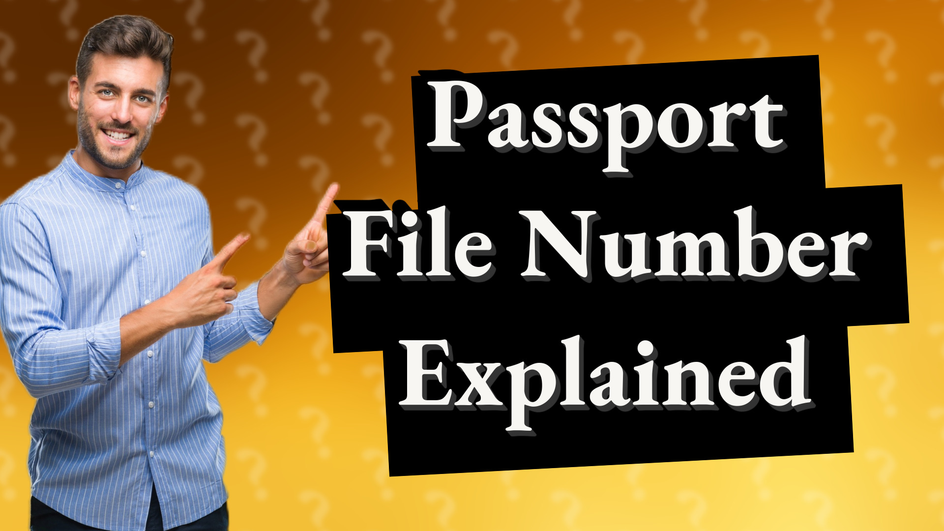 Passport File Number Explained