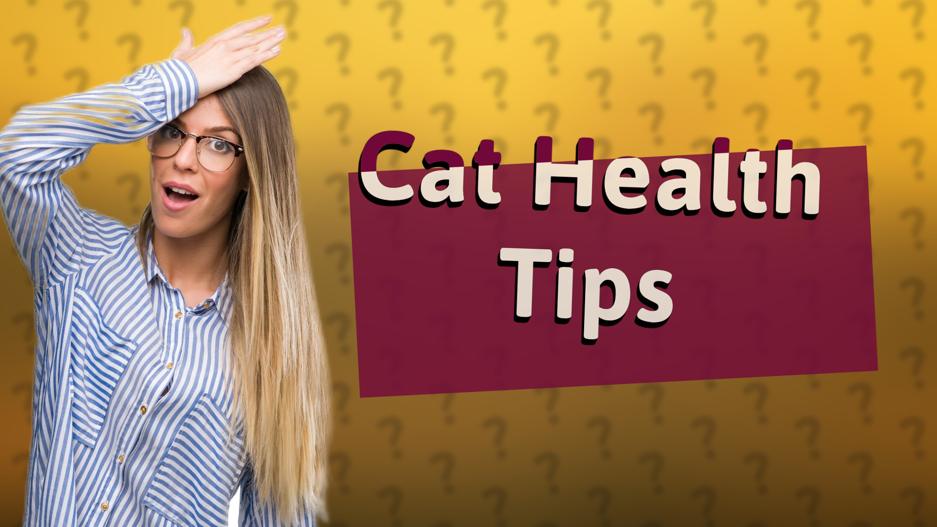Cat Health Tips