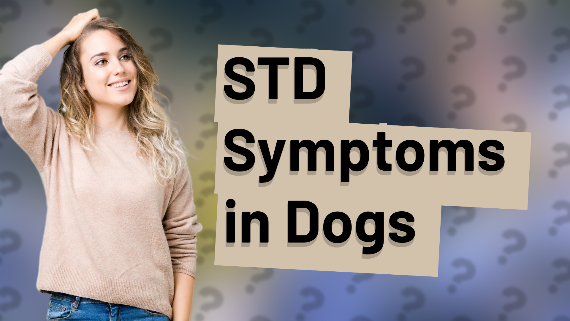 STD Symptoms in Dogs