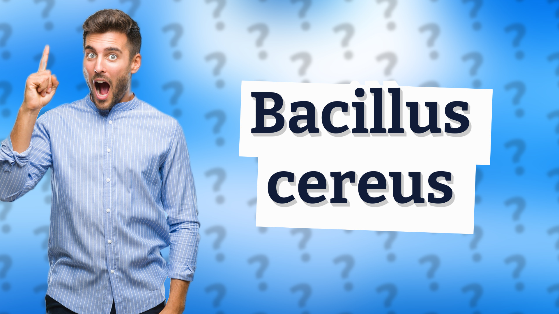 Bacillus cereus