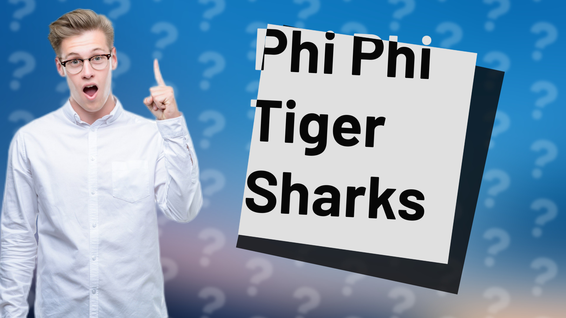 Phi Phi Tiger Sharks