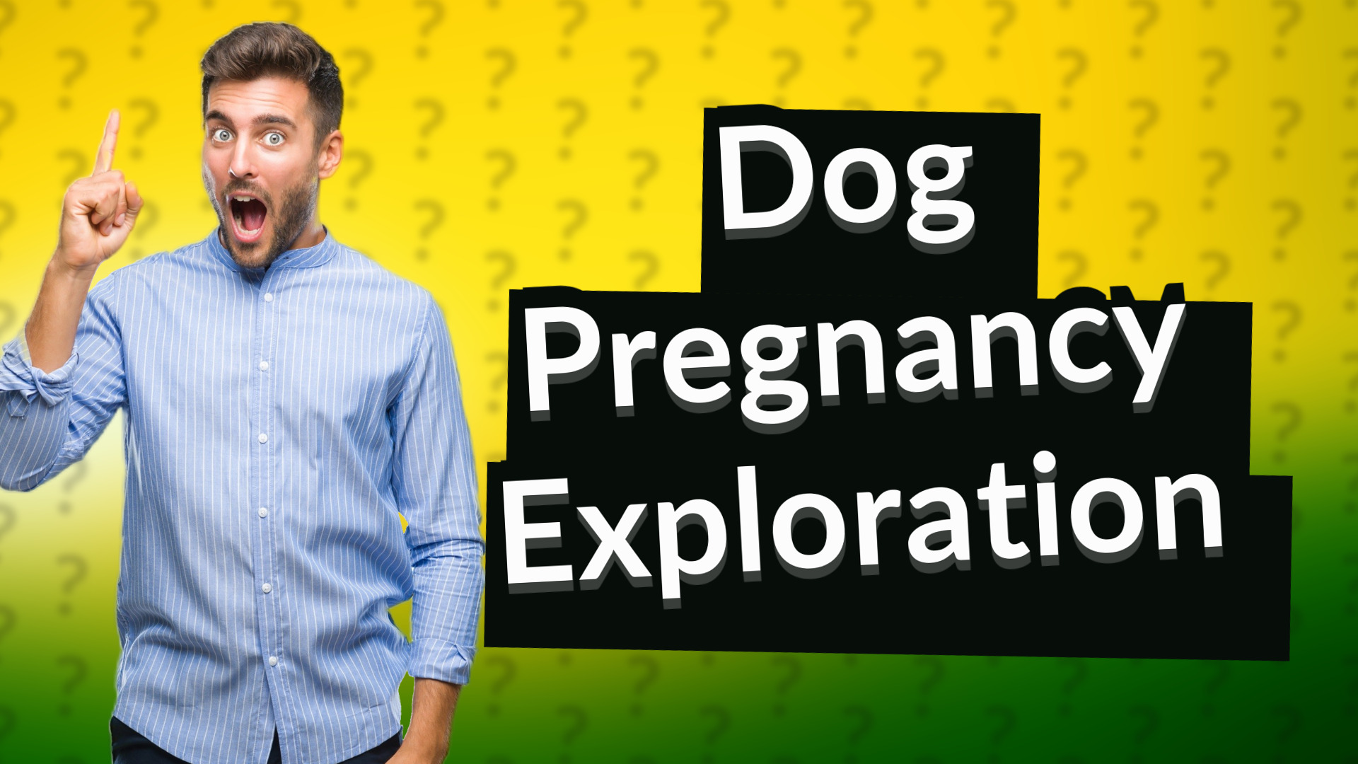 Dog Pregnancy Exploration