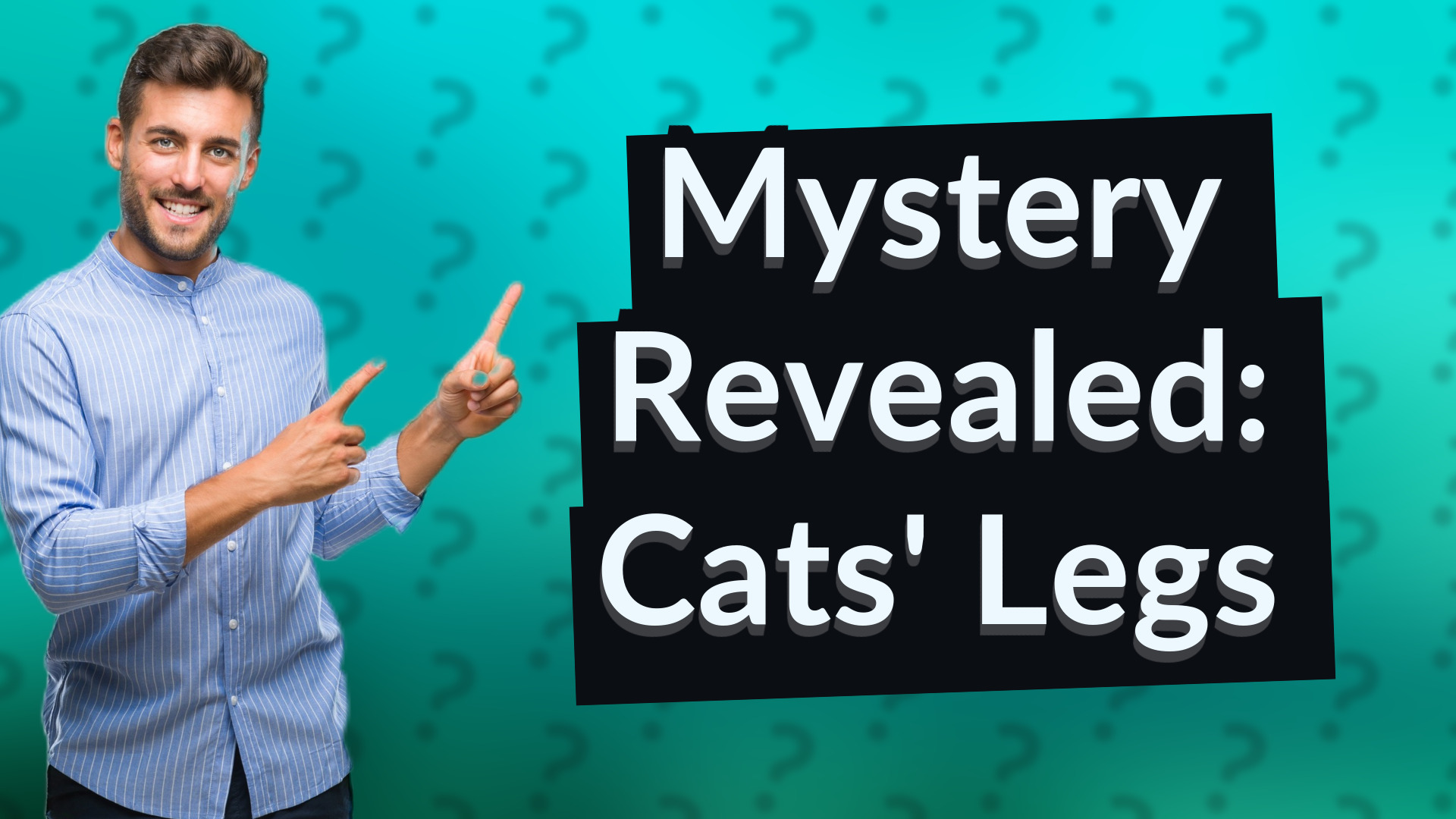 Mystery Revealed: Cats' Legs