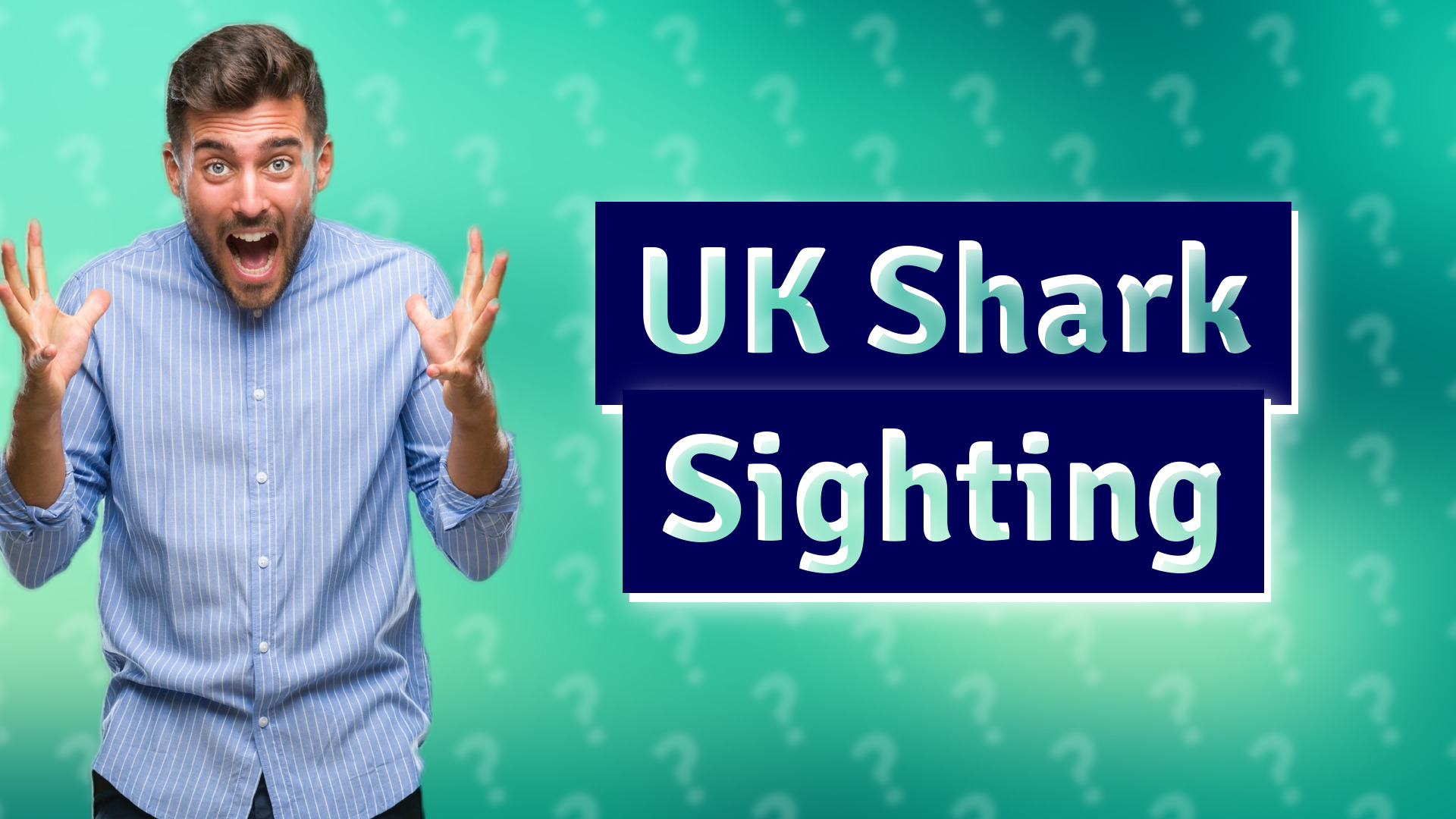 UK Shark Sighting