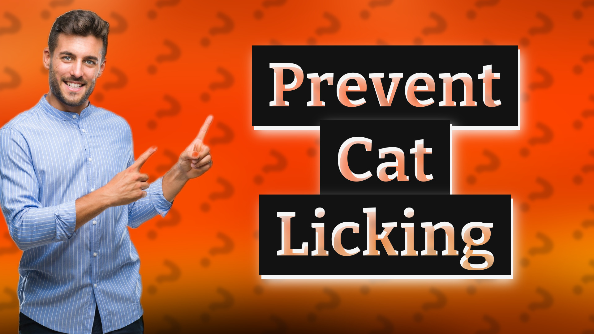 Prevent Cat Licking
