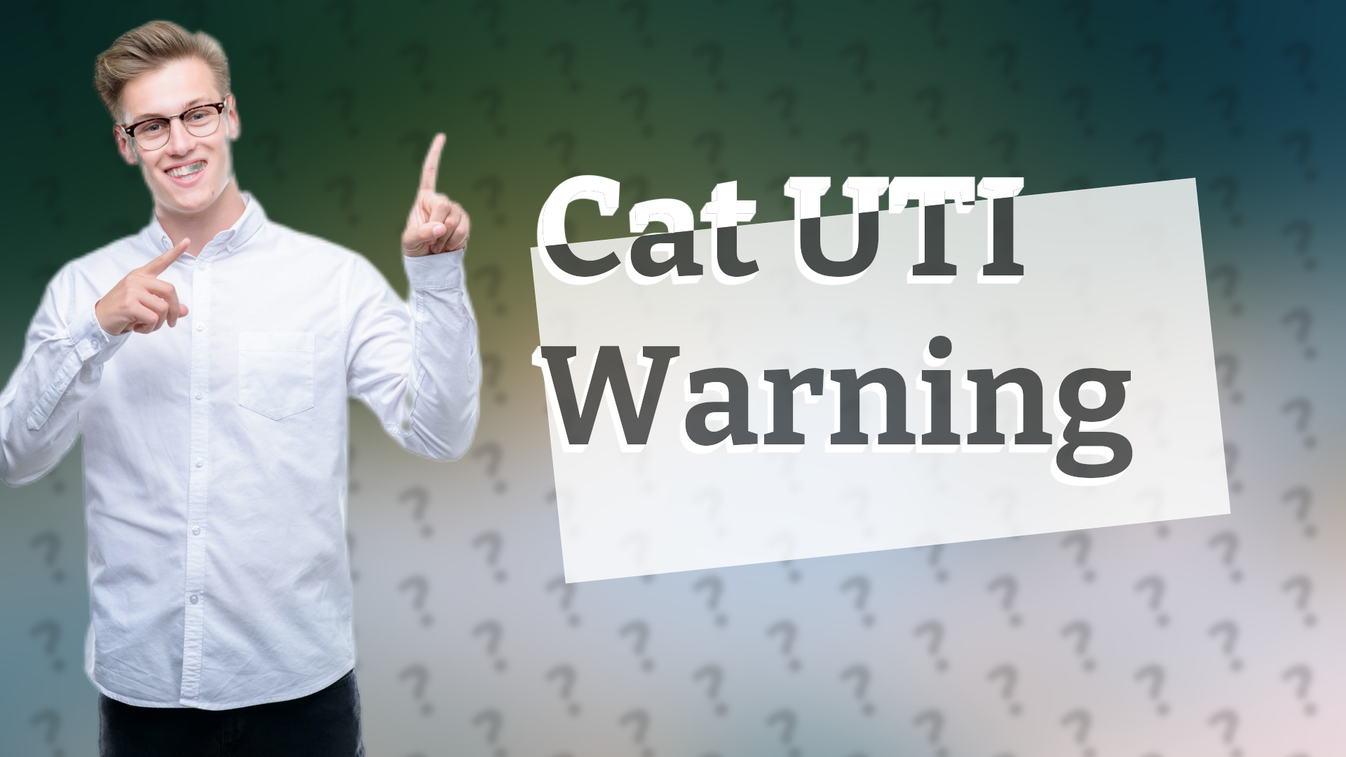 Cat UTI Warning