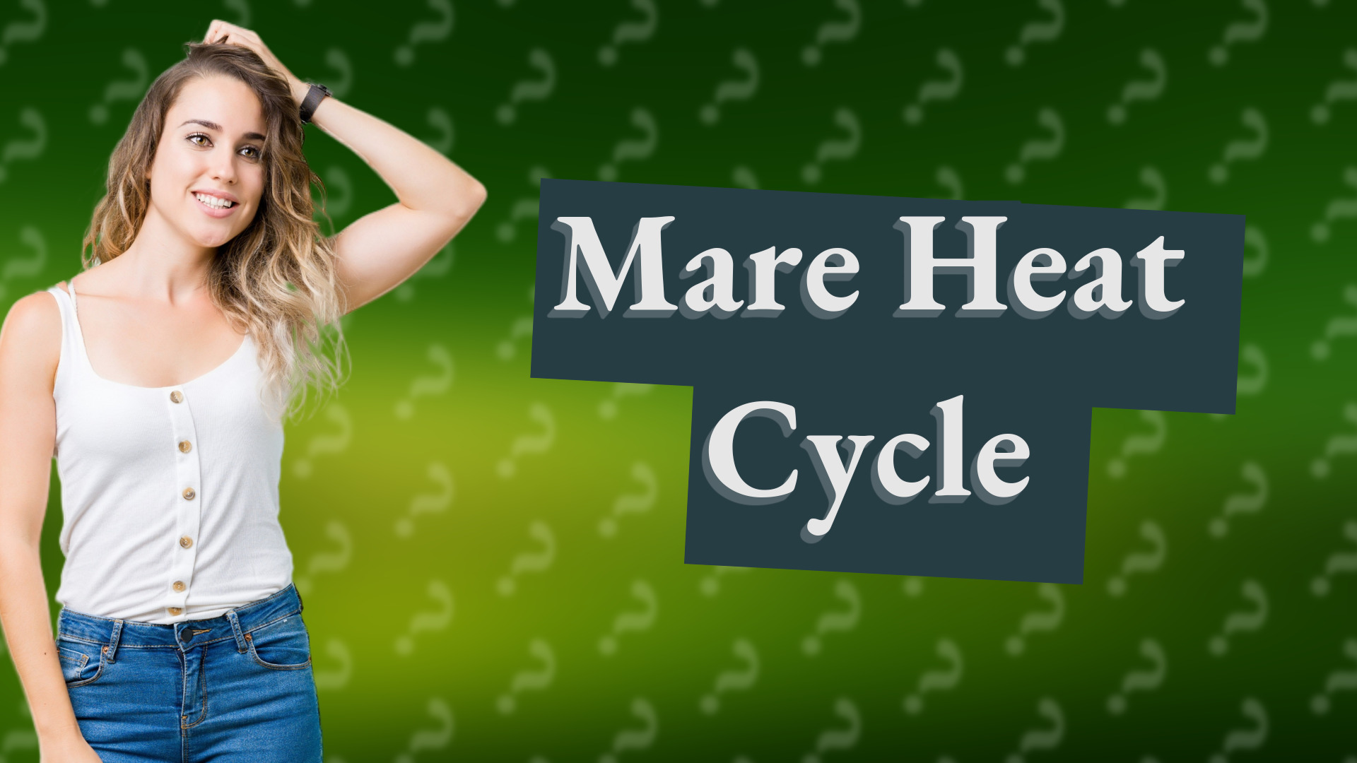Mare Heat Cycle