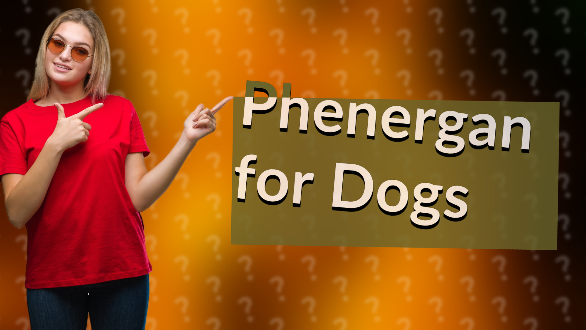 Phenergan for Dogs