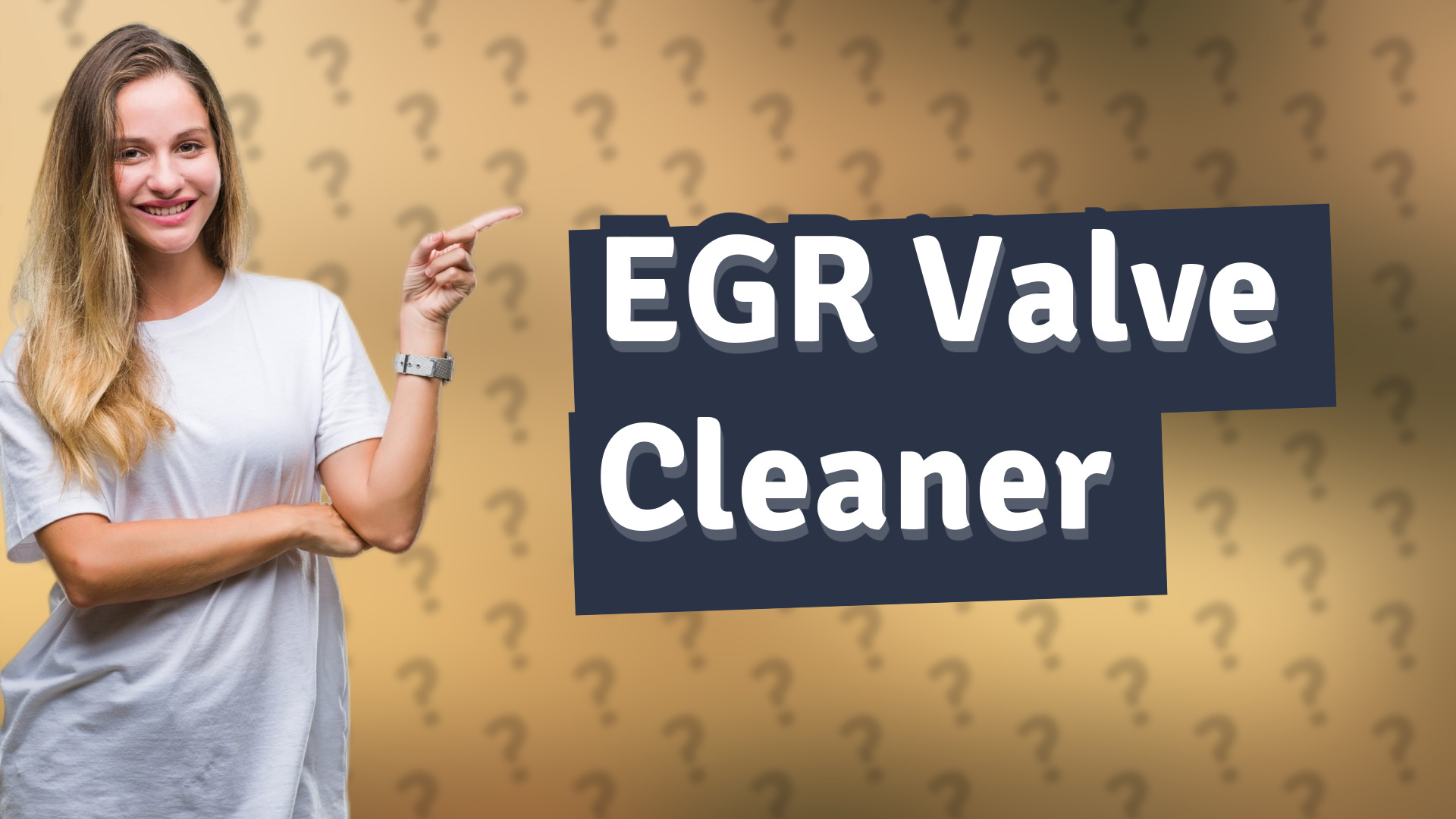EGR Valve Cleaner