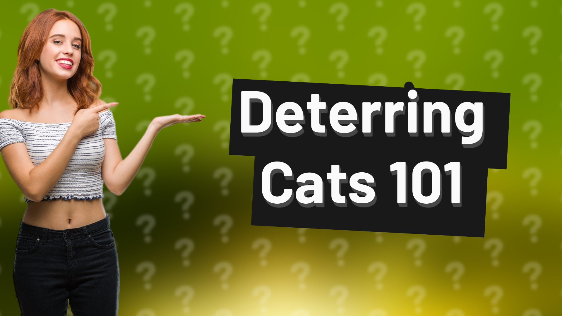 Deterring Cats 101