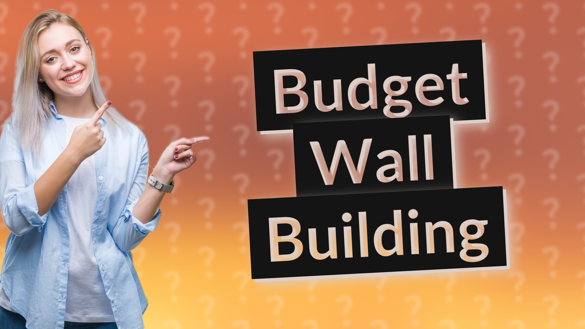 Budget Wall Building