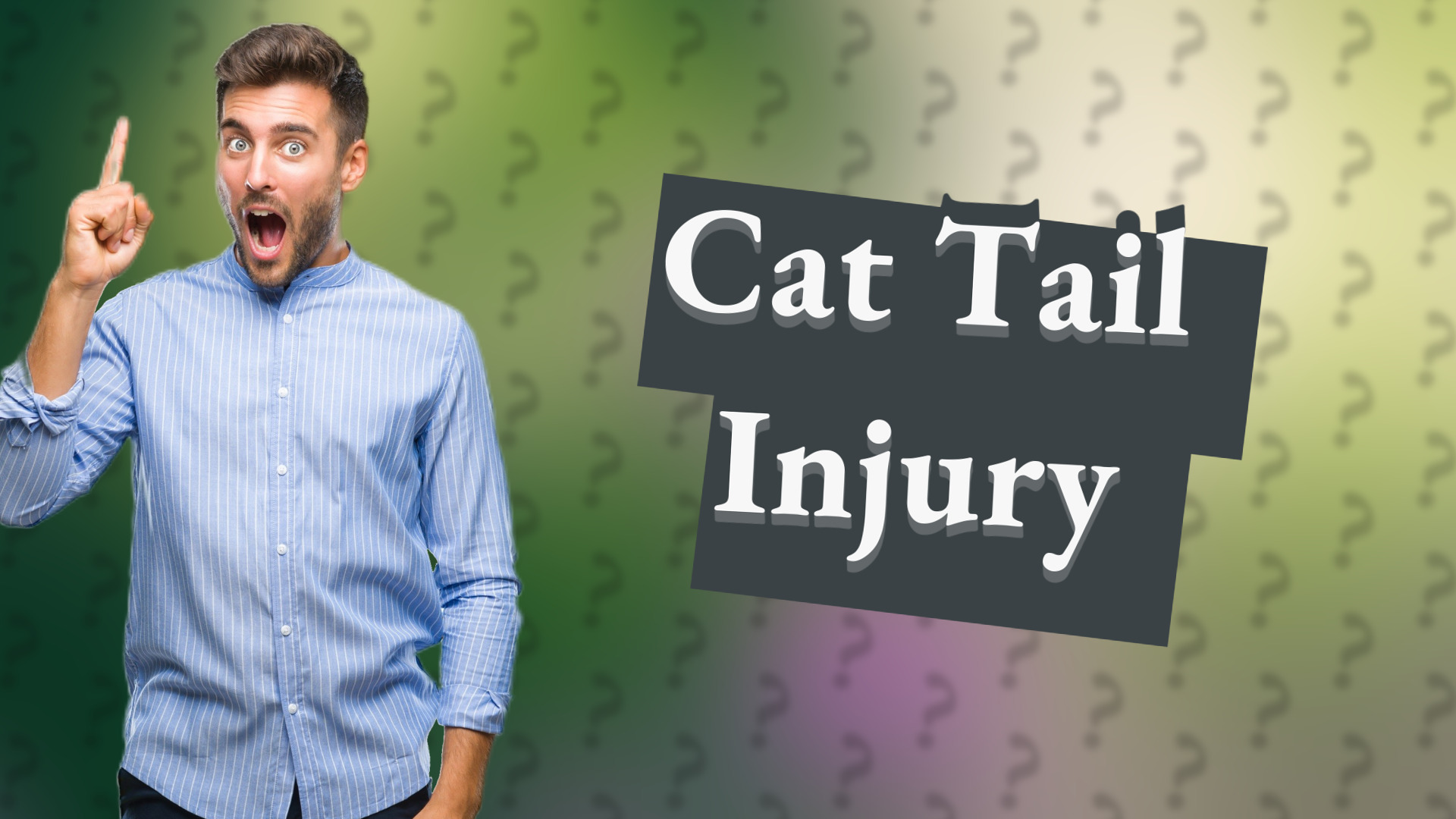 Cat Tail Injury