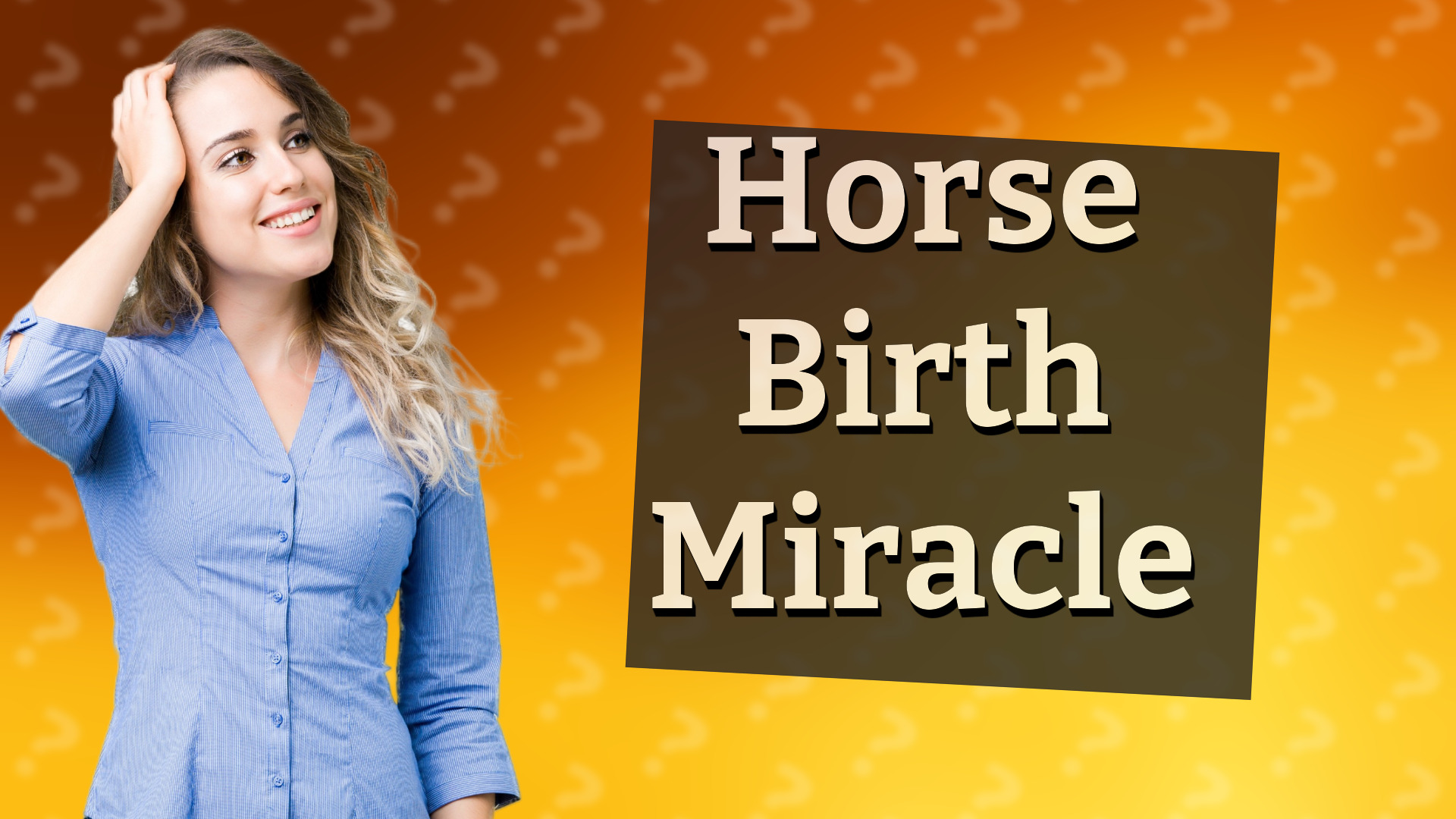 Horse Birth Miracle