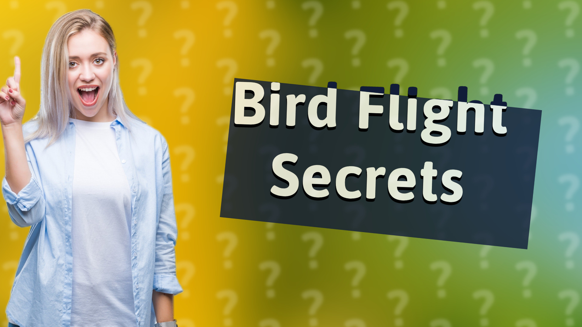 Bird Flight Secrets