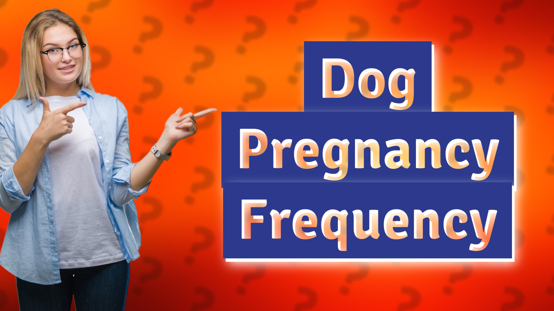 Dog Pregnancy Frequency
