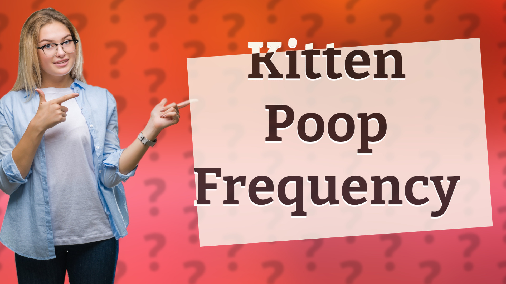 Kitten Poop Frequency
