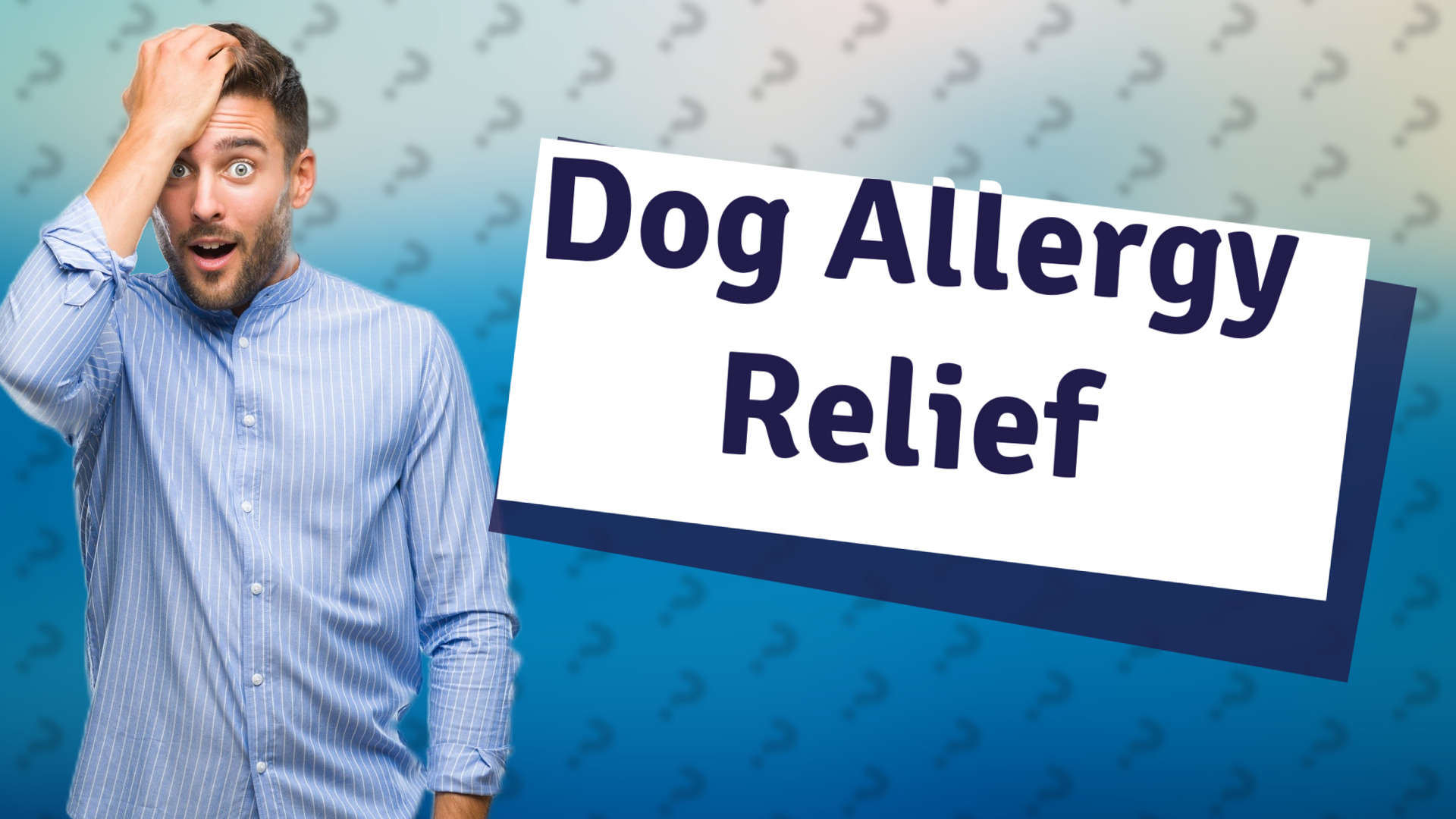 Dog Allergy Relief