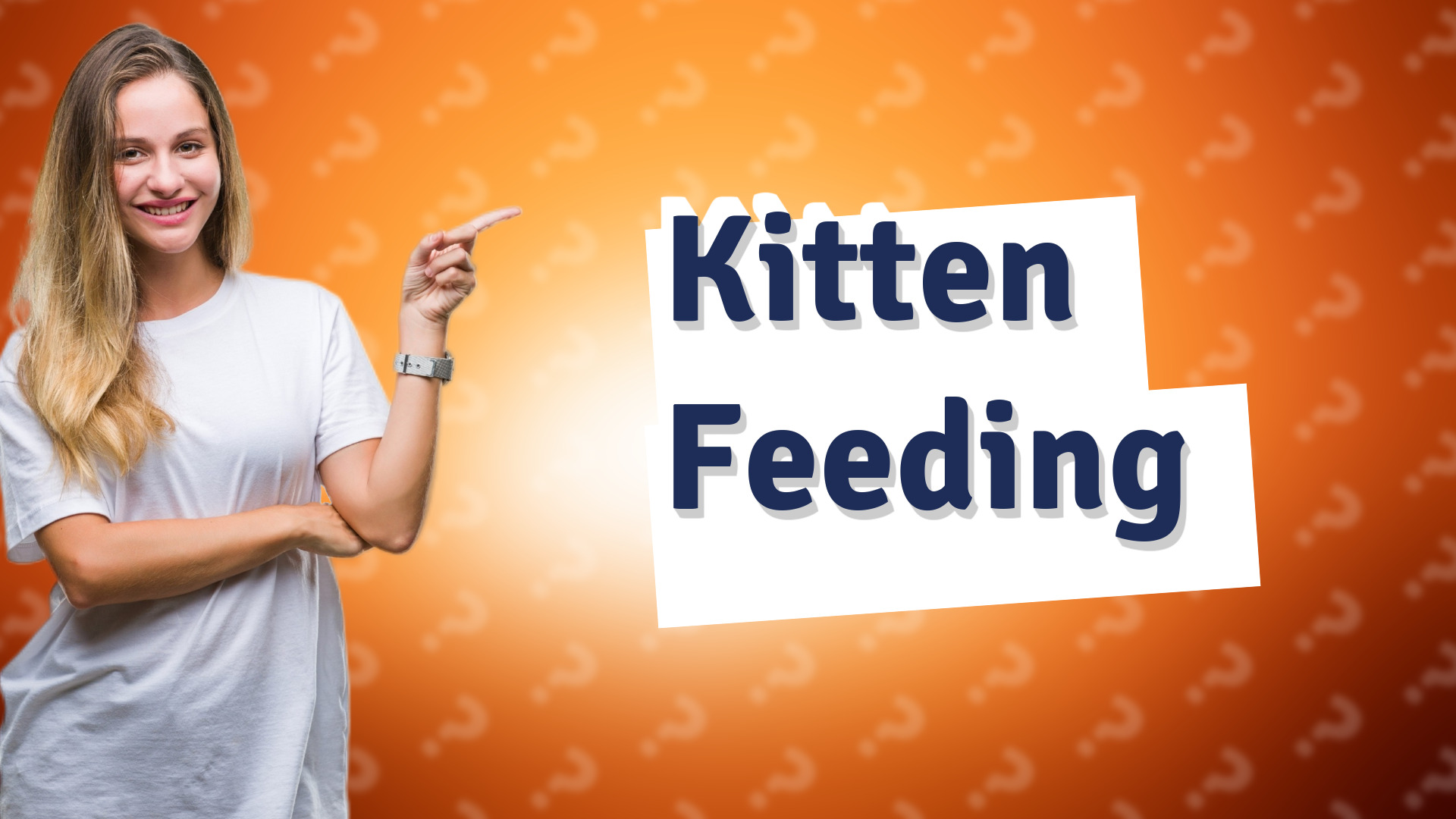 Kitten Feeding