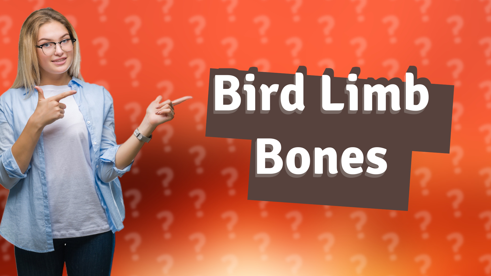 Bird Limb Bones
