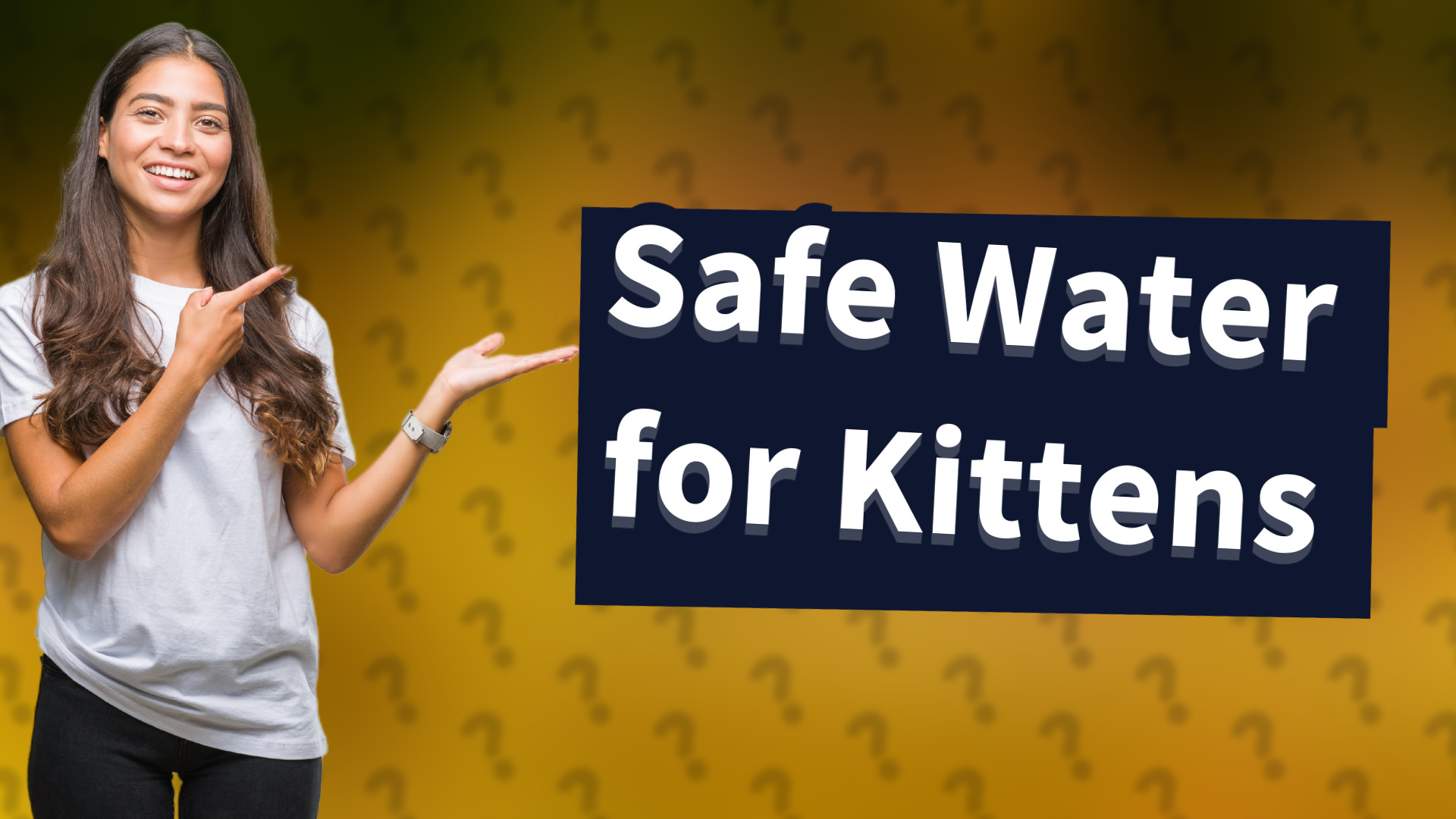 Safe Water for Kittens