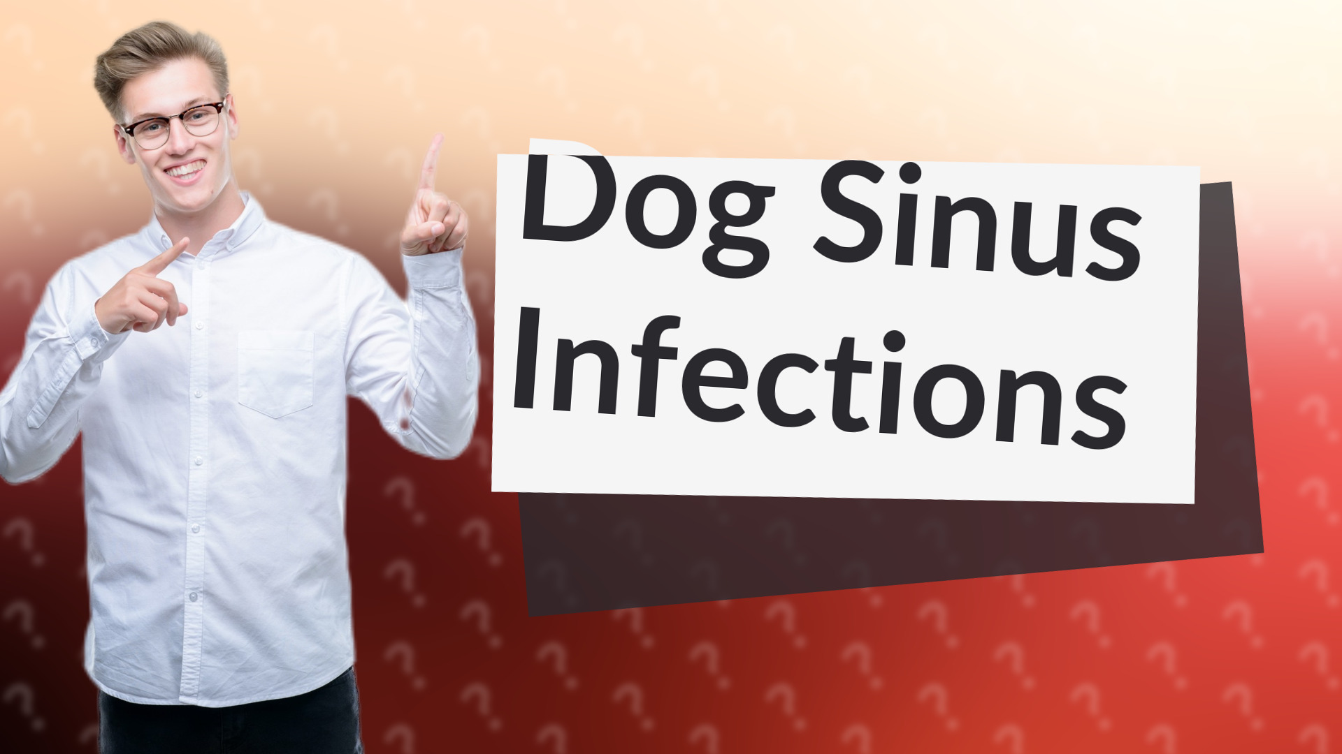 Dog Sinus Infections