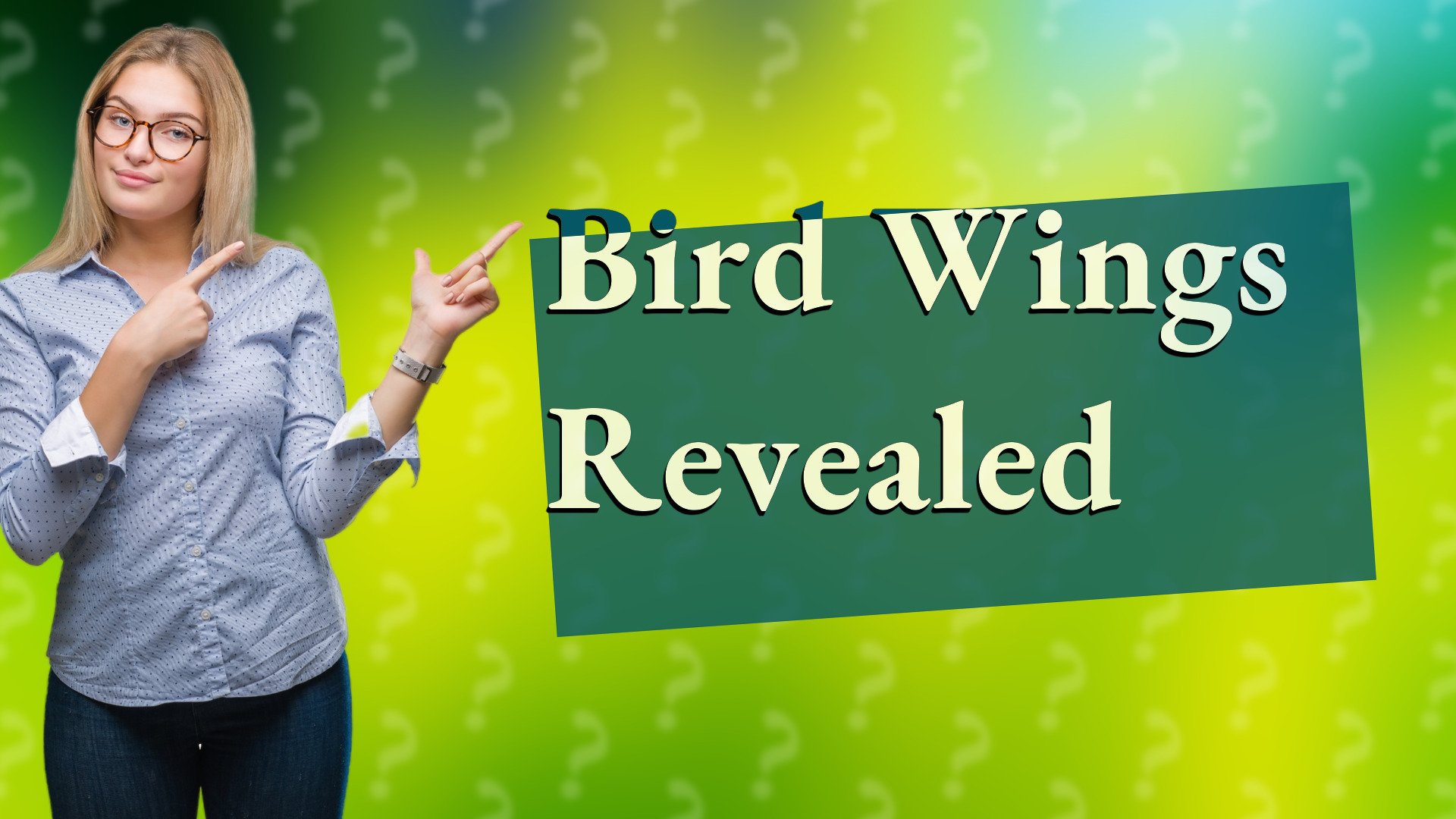 Bird Wings Revealed