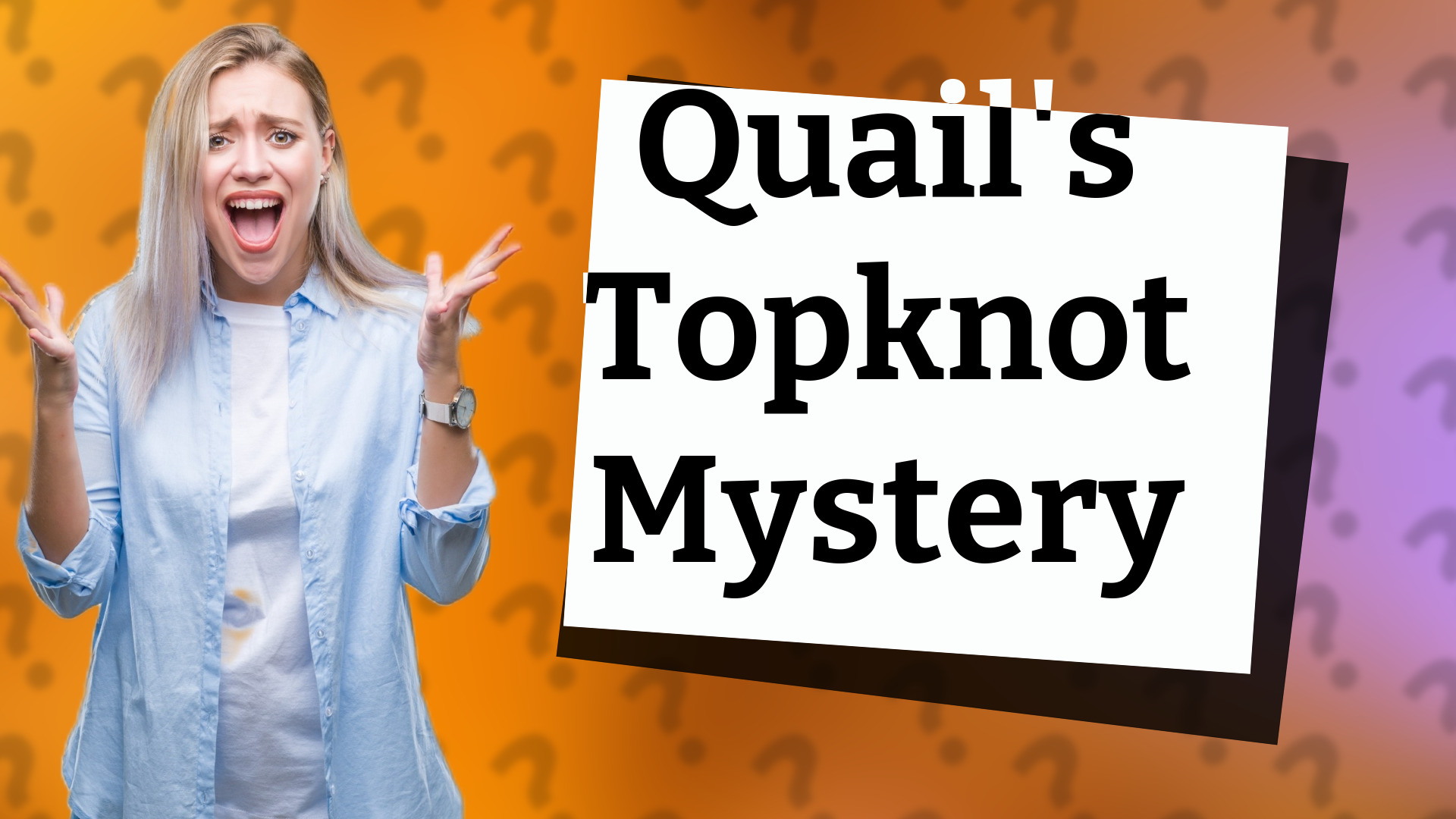 Quail's Topknot Mystery