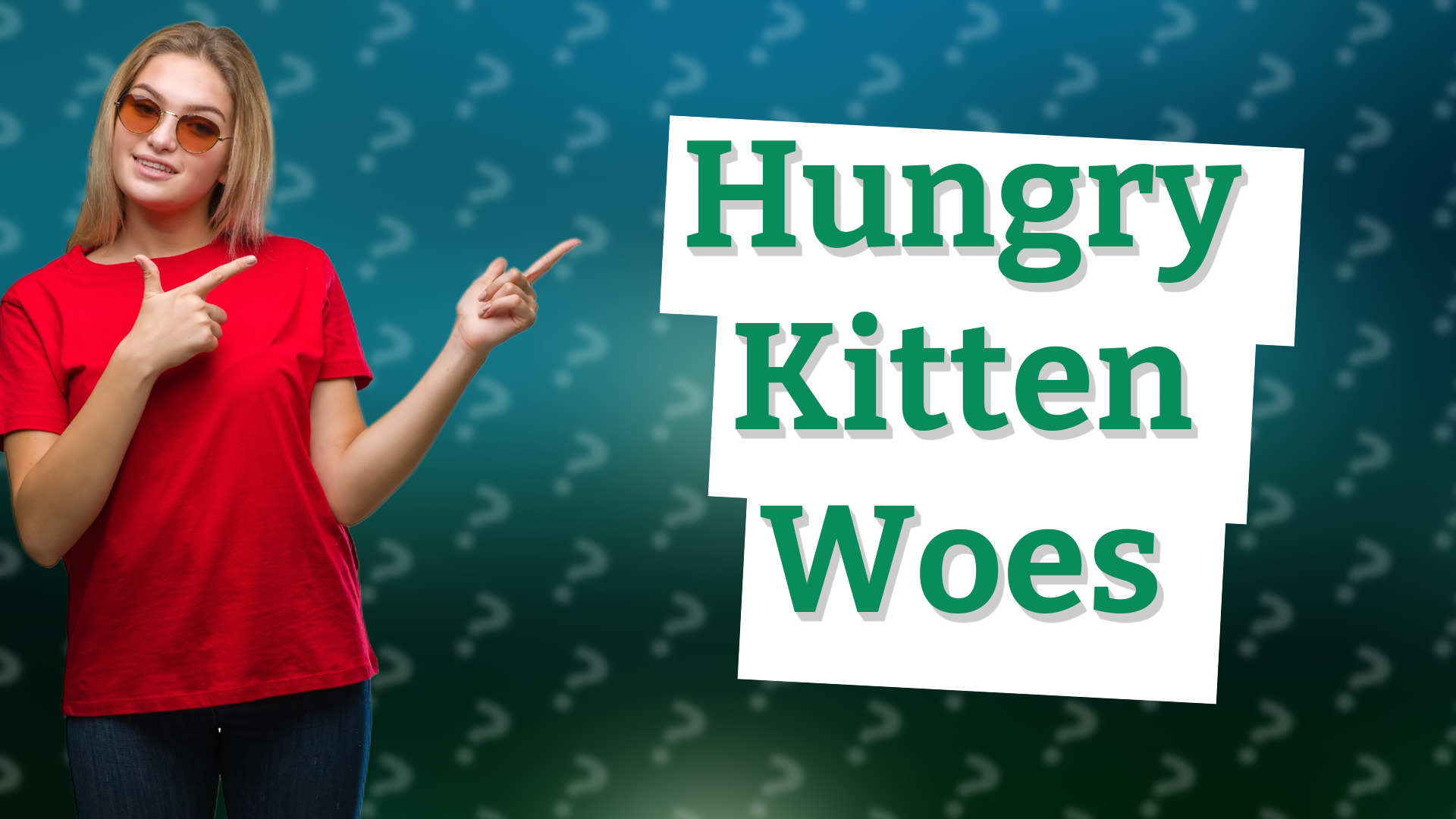 Hungry Kitten Woes