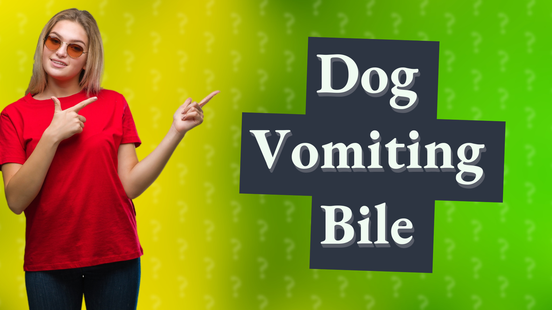 Dog Vomiting Bile